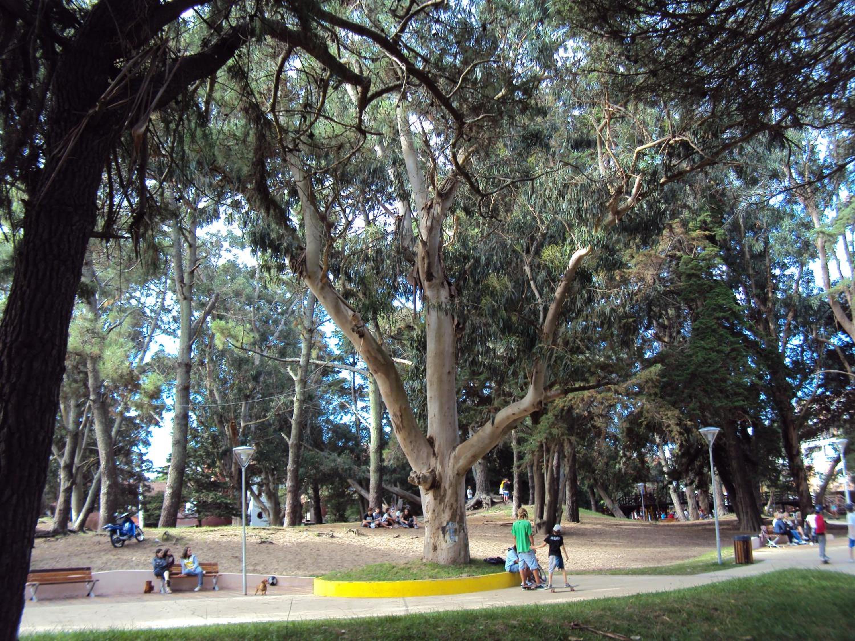 Posada Fatima