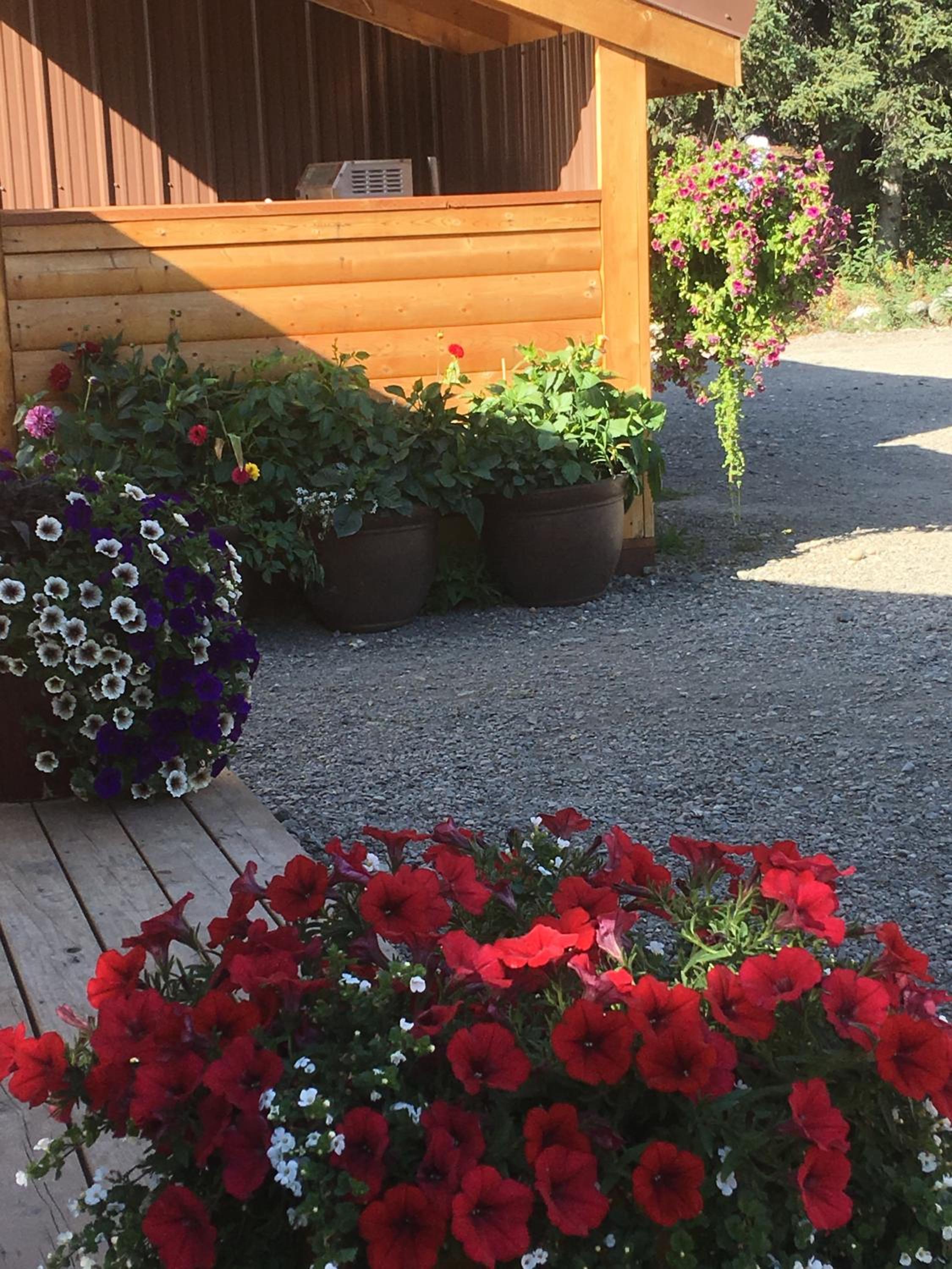 McKinley Creekside Cabins