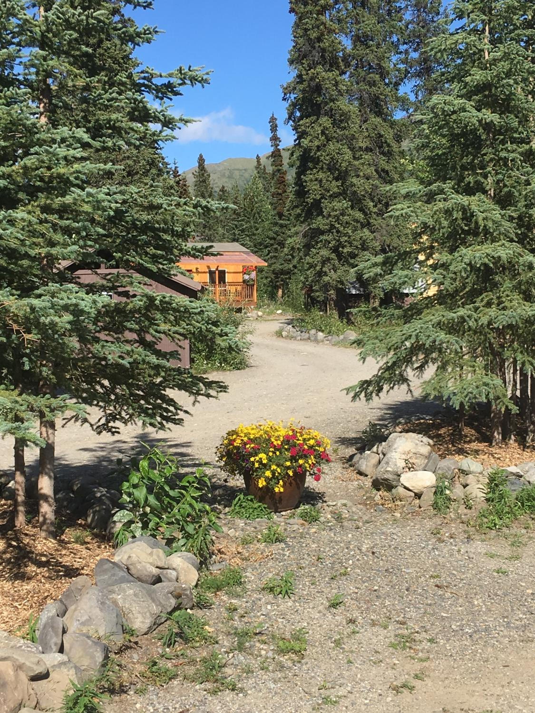 McKinley Creekside Cabins