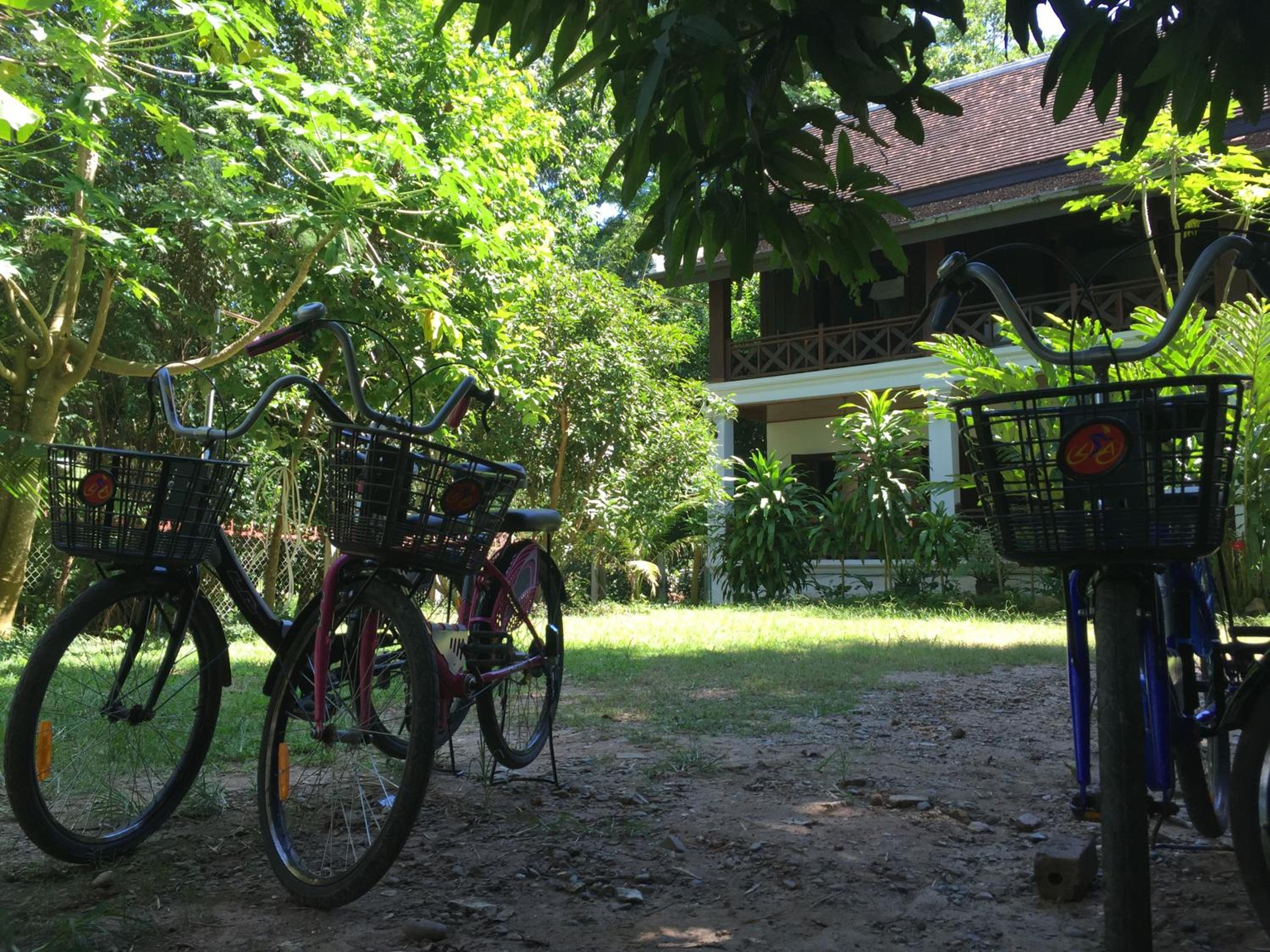Photo 21