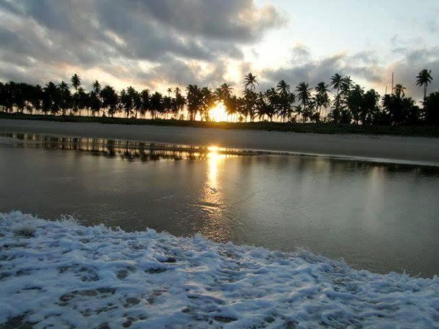 Photo 48