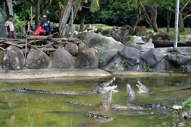 A'Famosa Resort Melaka — photo 39