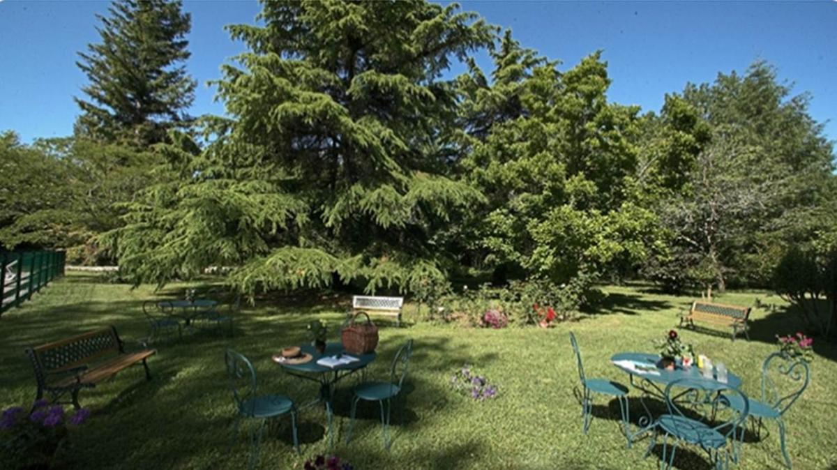 Chambres d'Hotes Le Menestrel - Property Image 7
