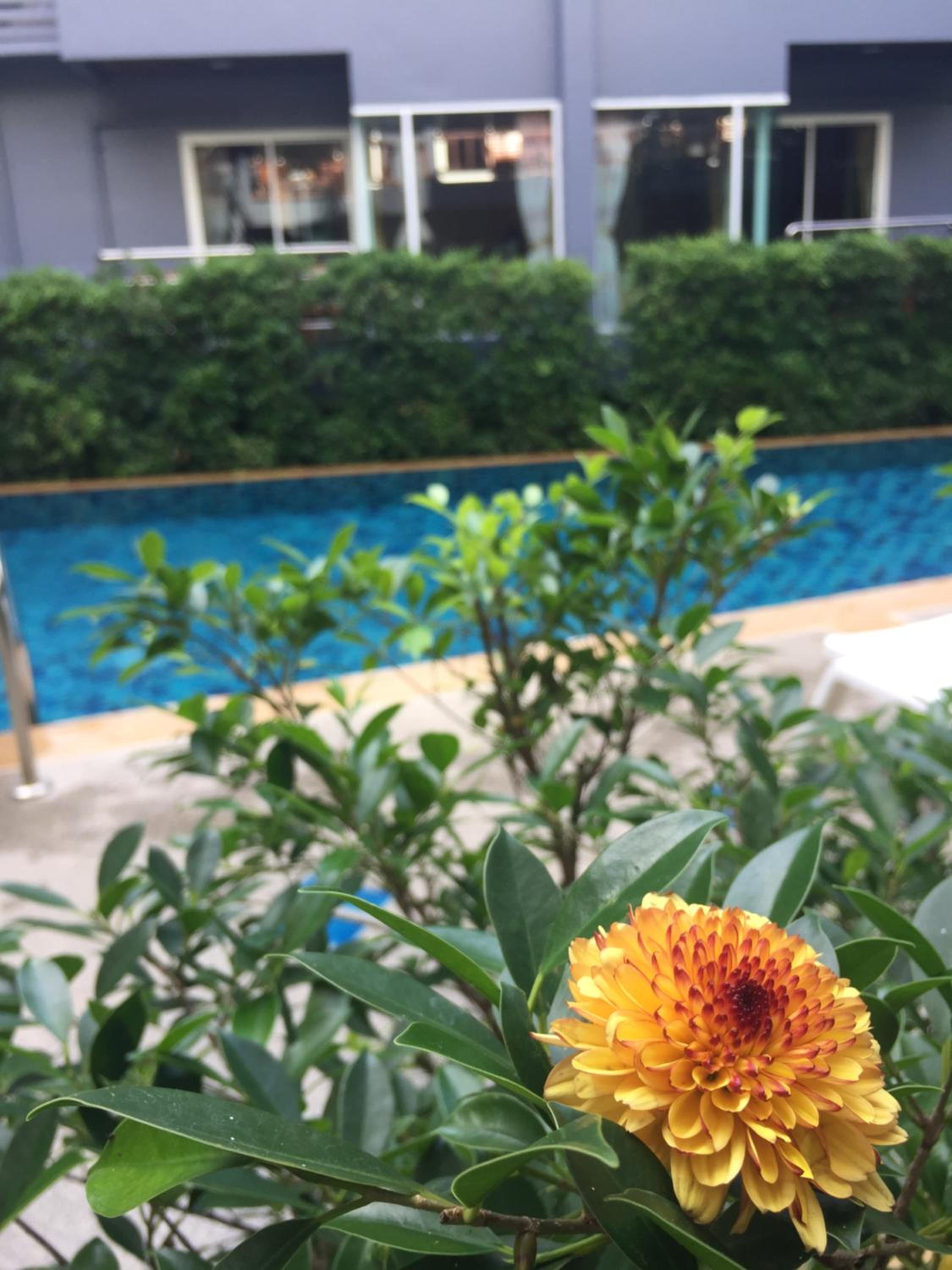 Aonang Village Resort