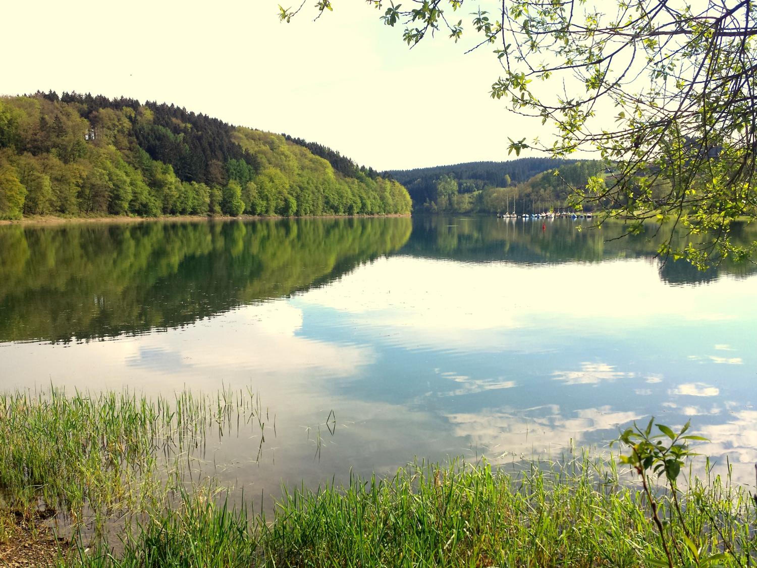 5 Ferienwohnungen nähe Badesee mit Bergblick