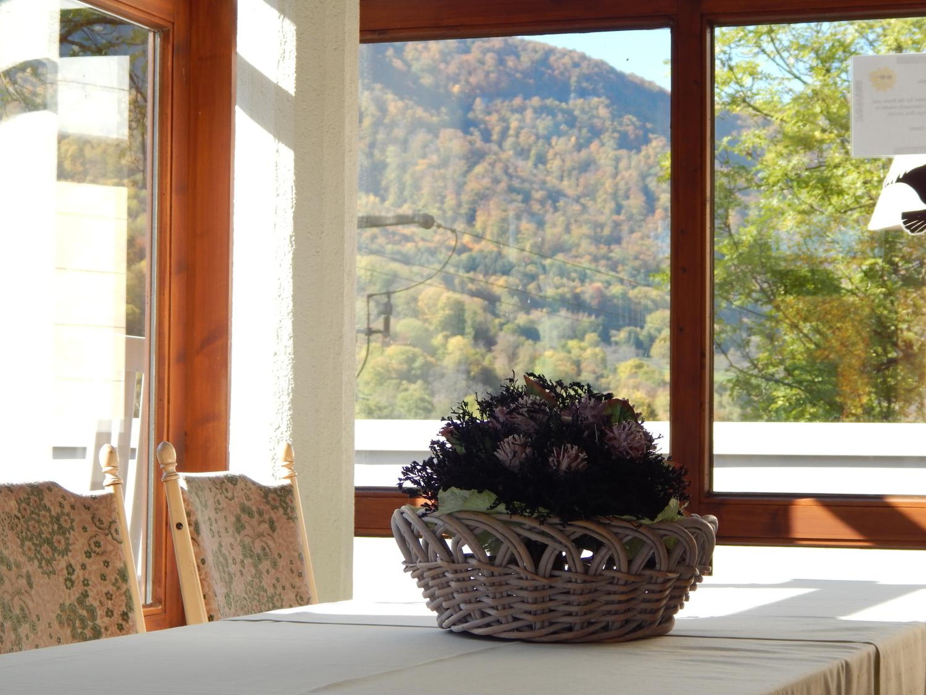 FREE Apartment - Bei den Thermen