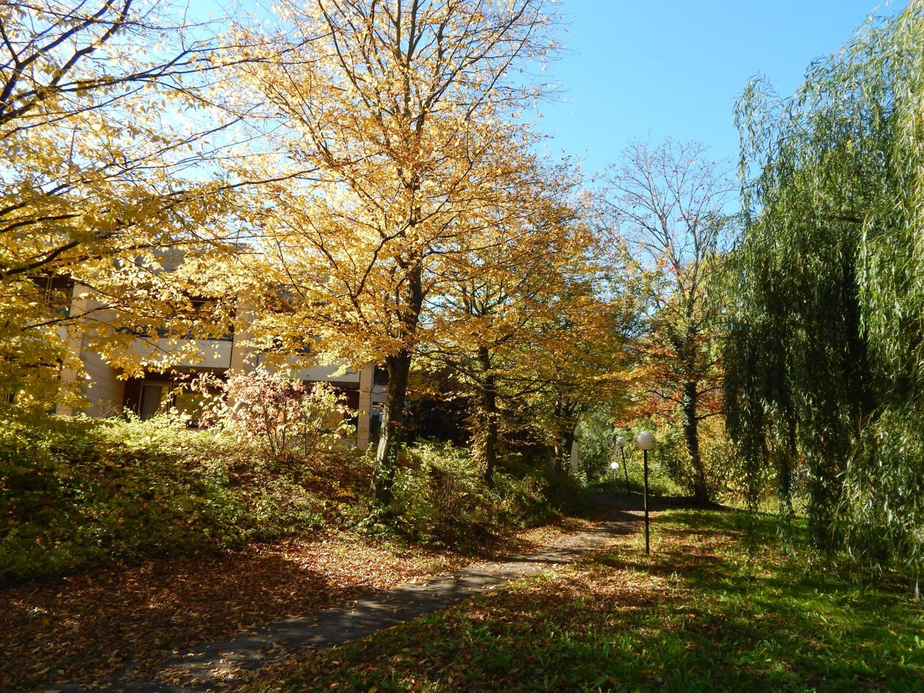 FREE Apartment - Bei den Thermen