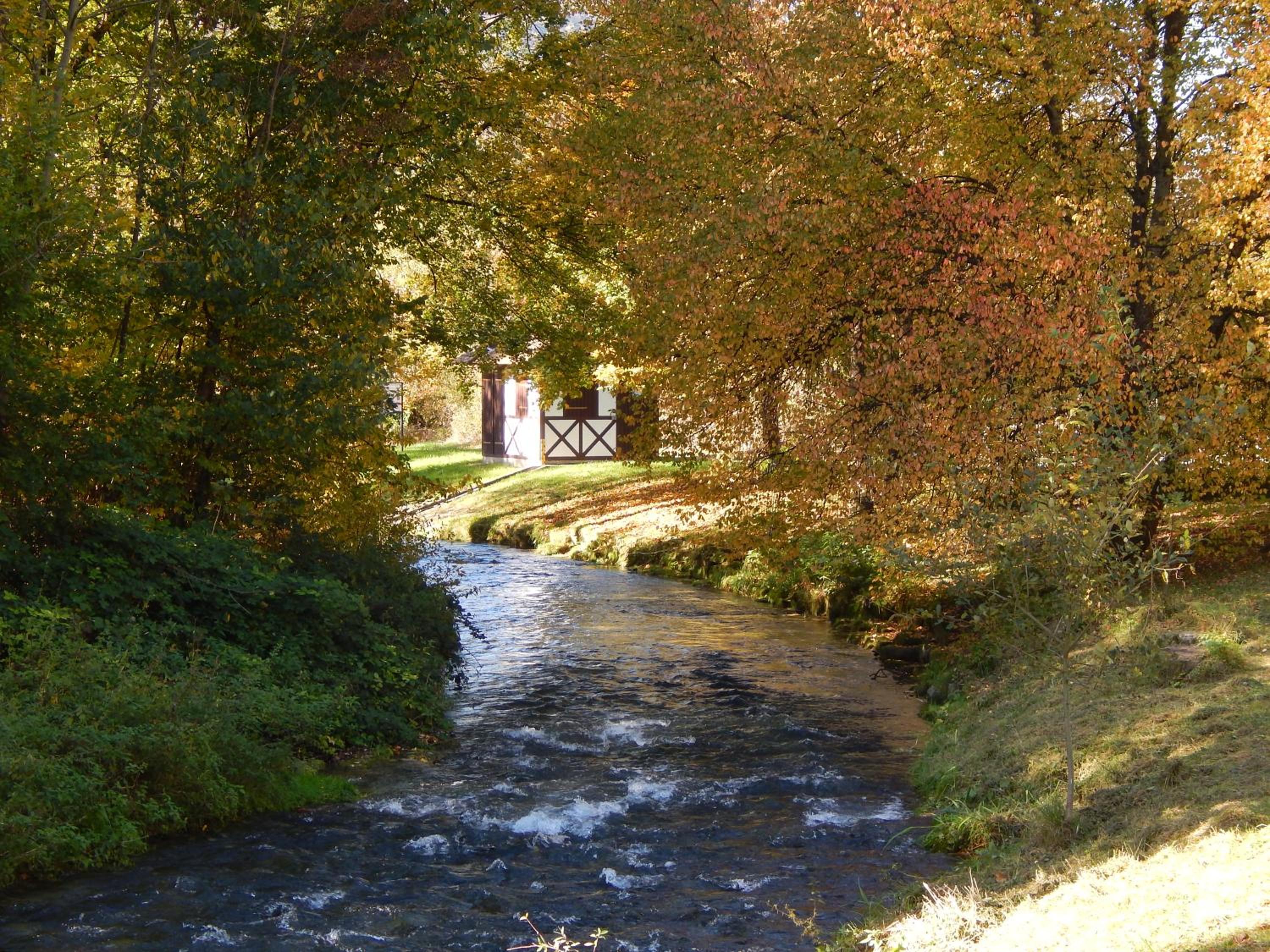 FREE Apartment - Bei den Thermen