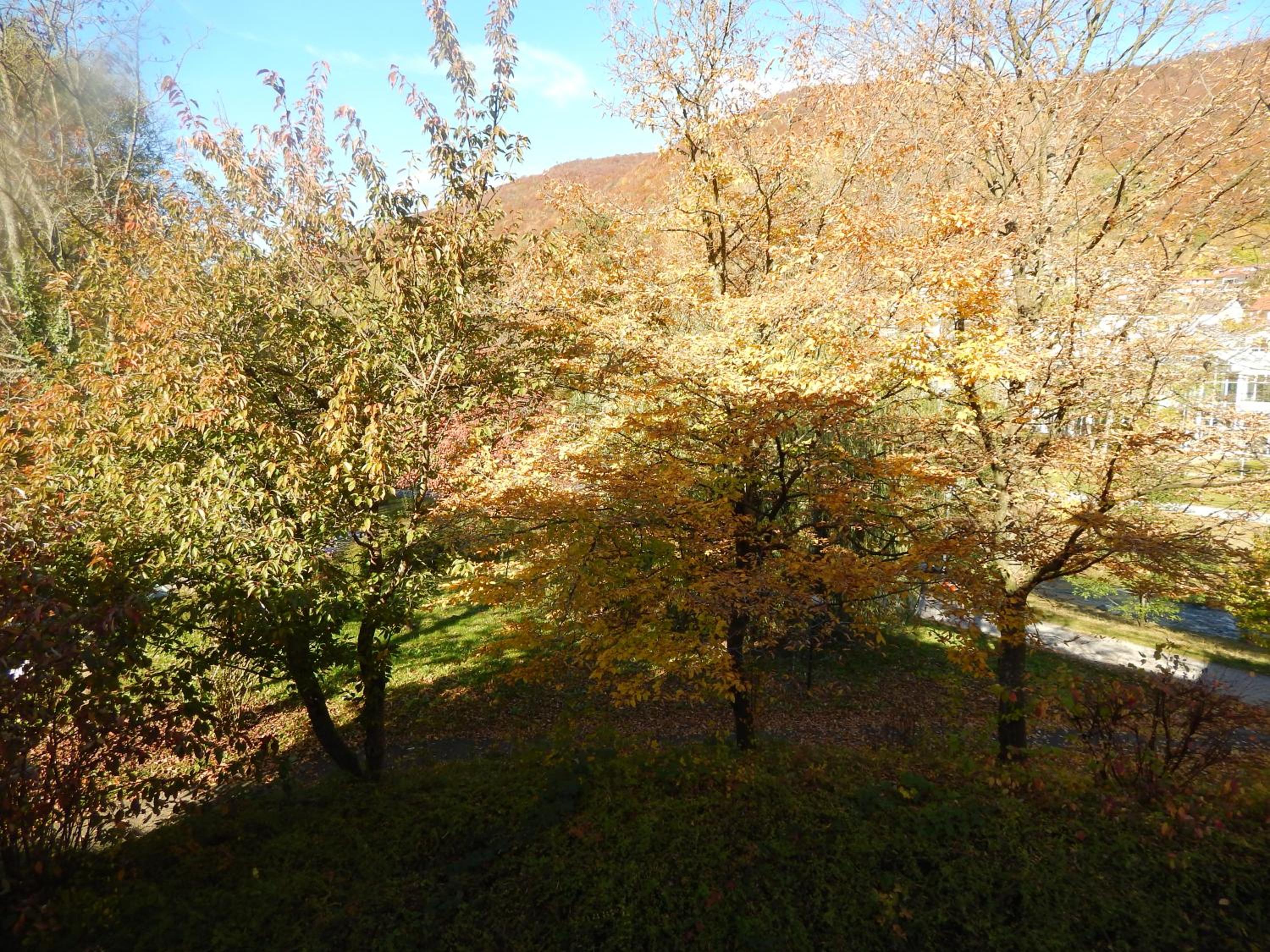 FREE Apartment - Bei den Thermen