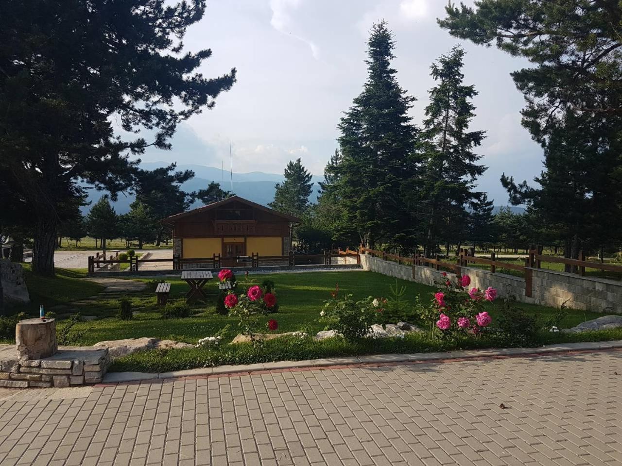 Photo 21