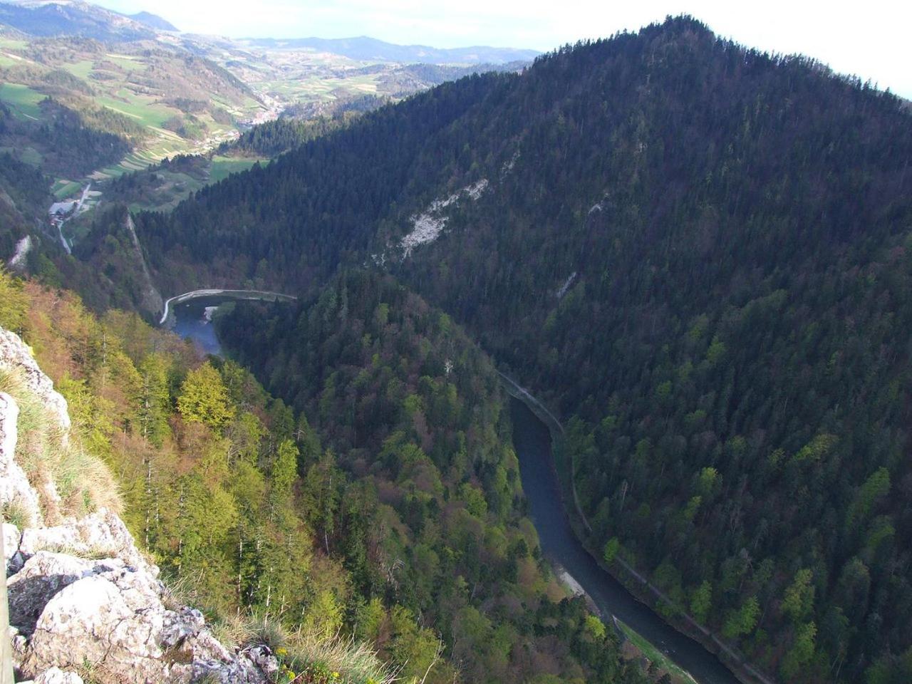 Photo 47