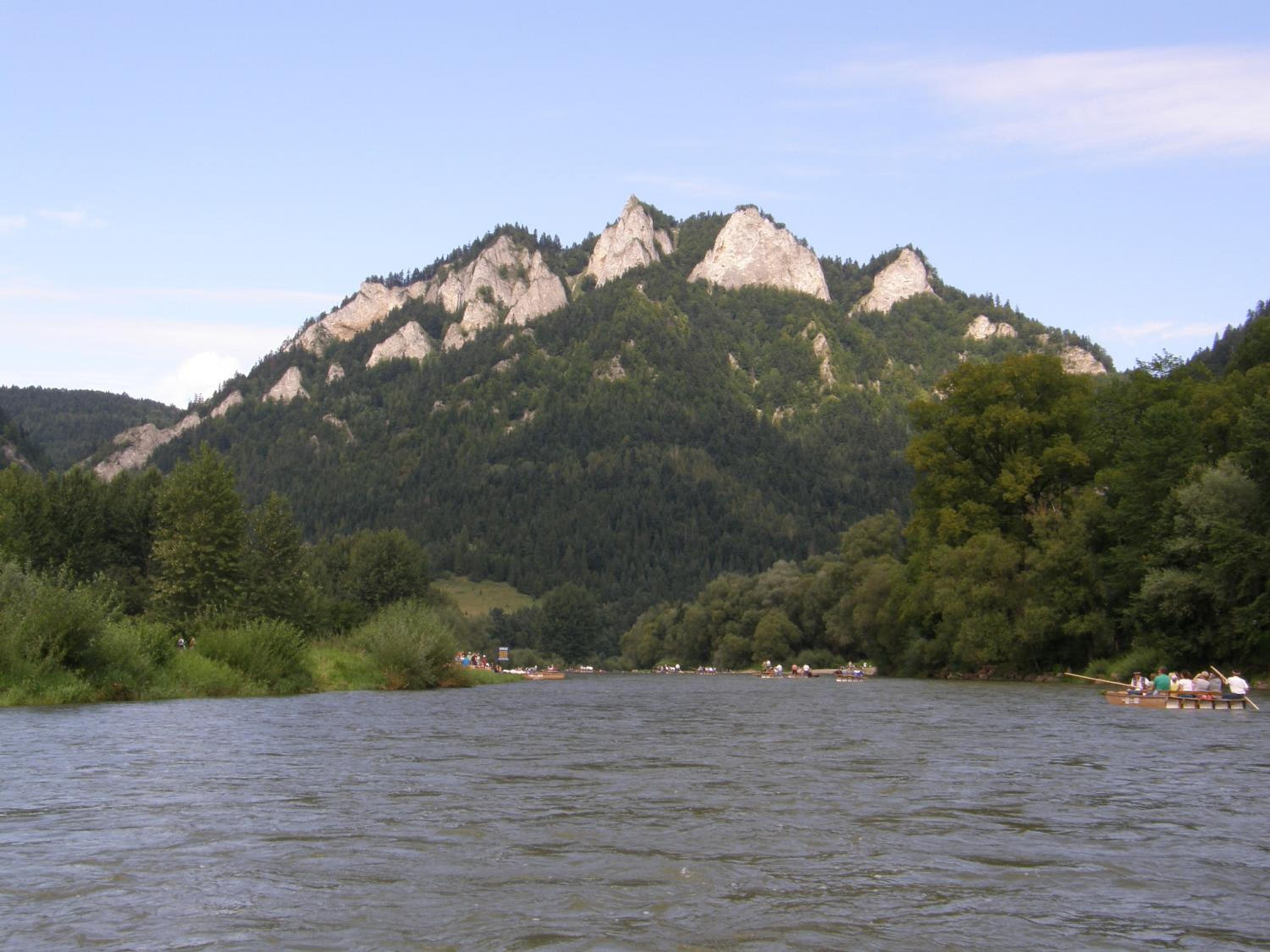 Photo 46