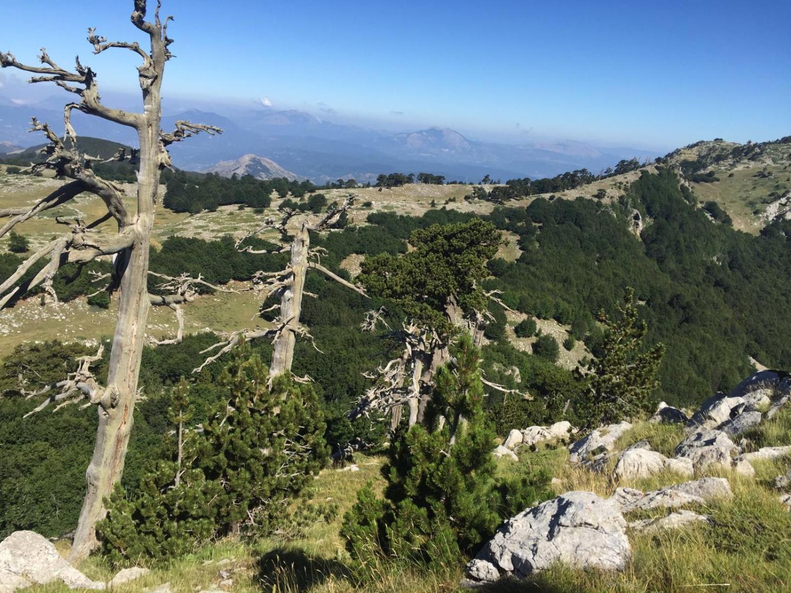 La Stella Del Pollino view 4