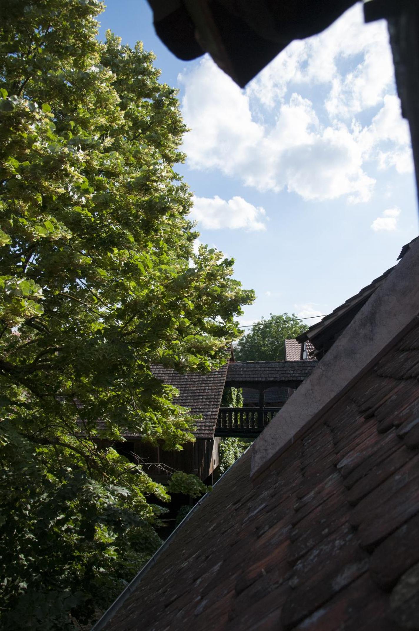 Unter der Linde