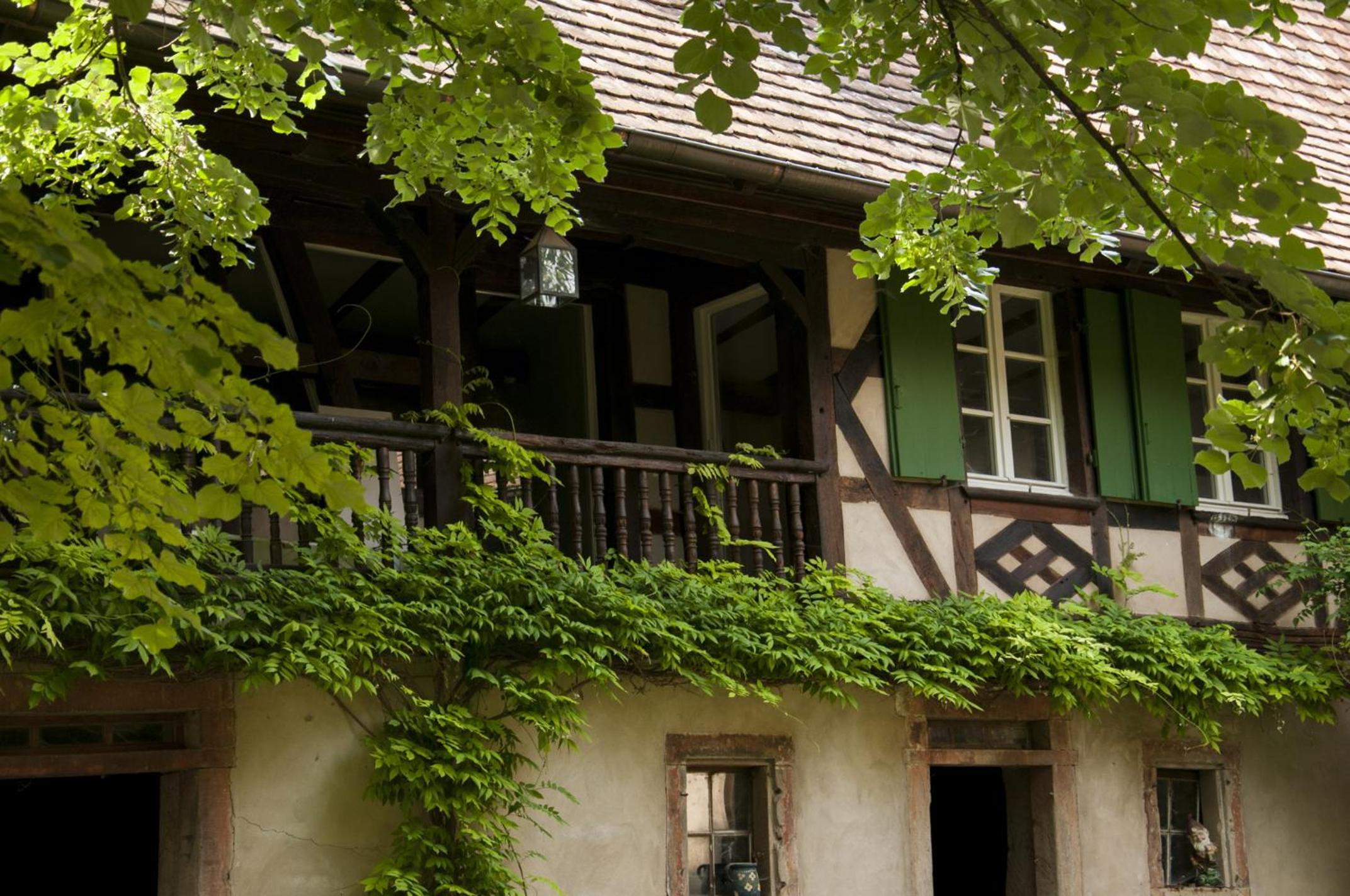 Unter der Linde