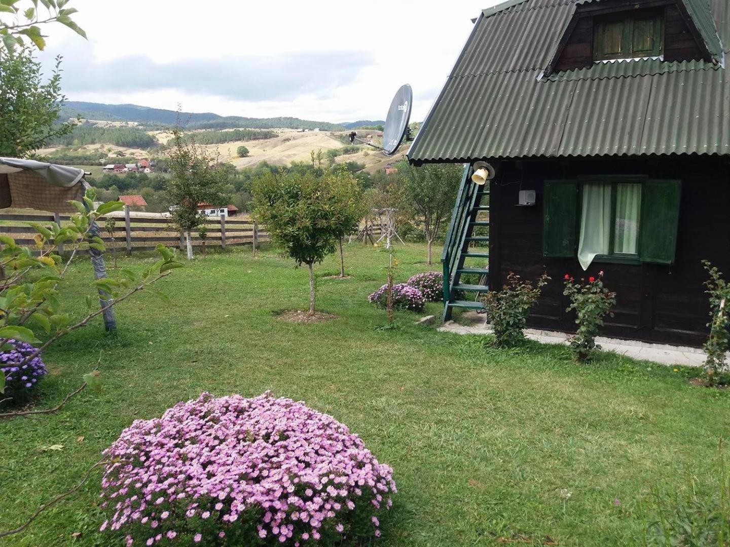 Holiday Home Vila Milka view 3