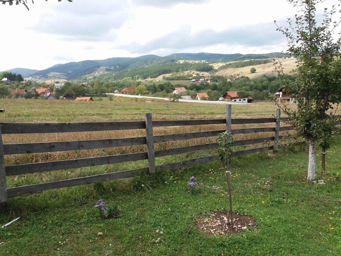 Holiday Home Vila Milka view 4