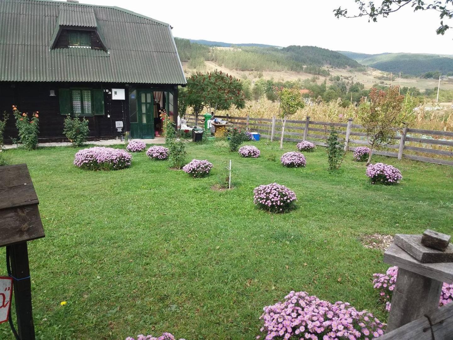 Holiday Home Vila Milka view 2