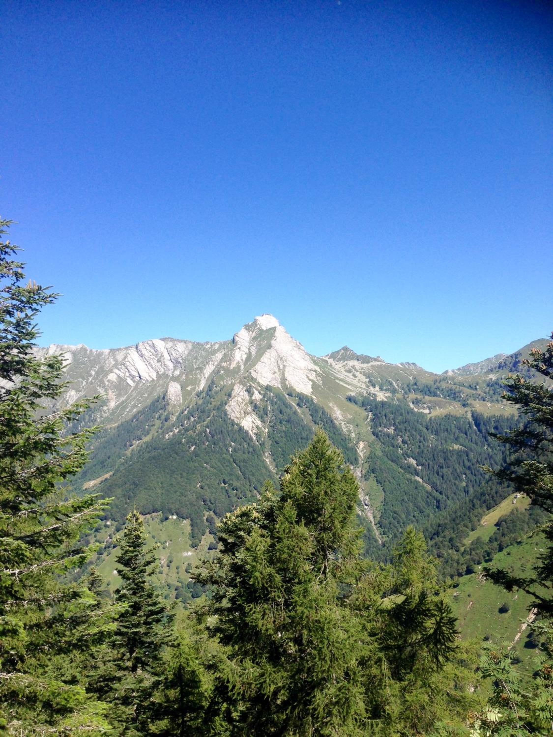Photo 37
