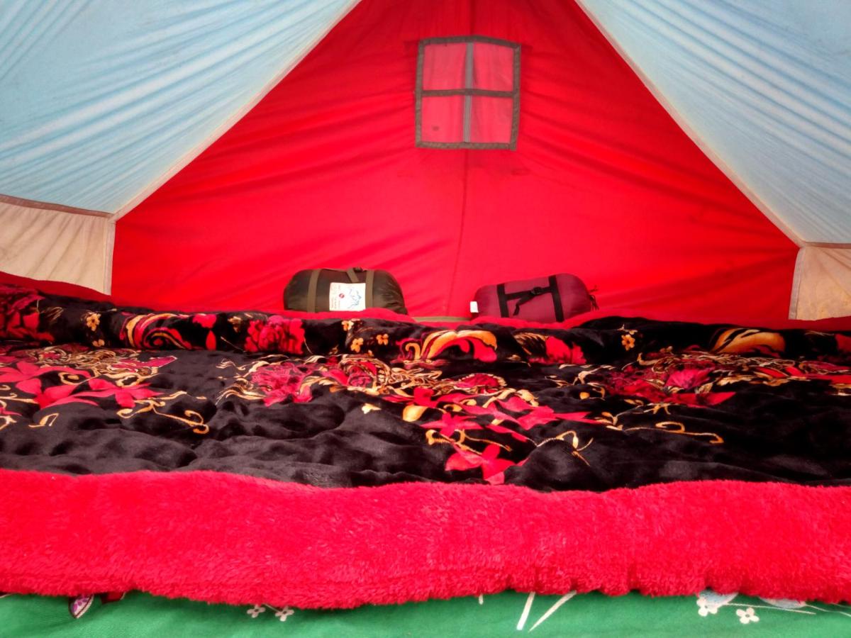 Nomadic Dalhousie