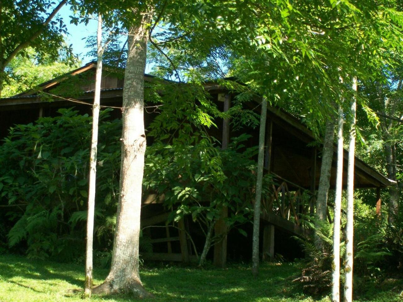 Aires del Monte