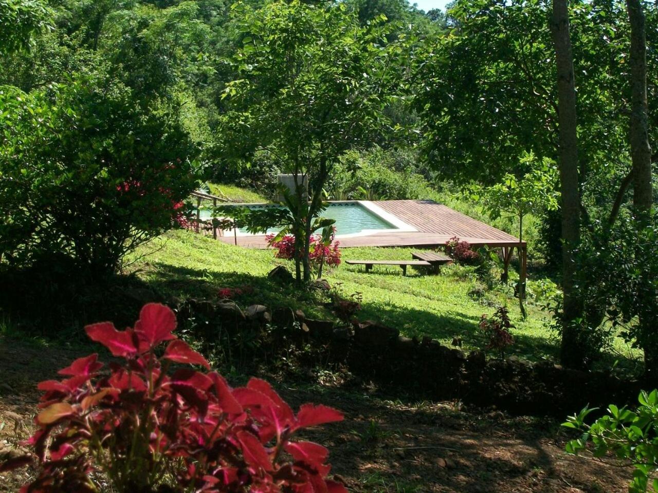 Aires del Monte