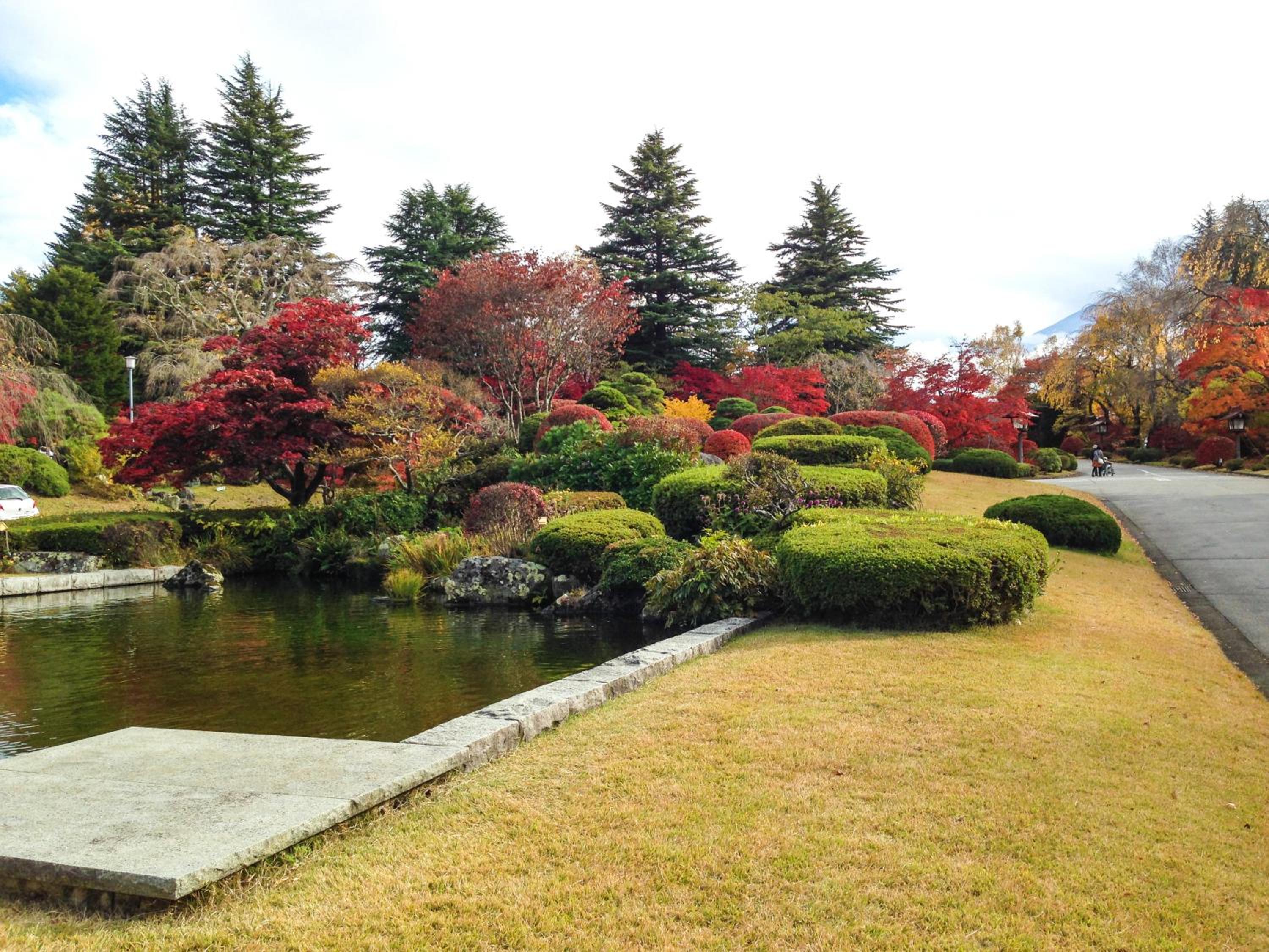 Fuji View Hotel