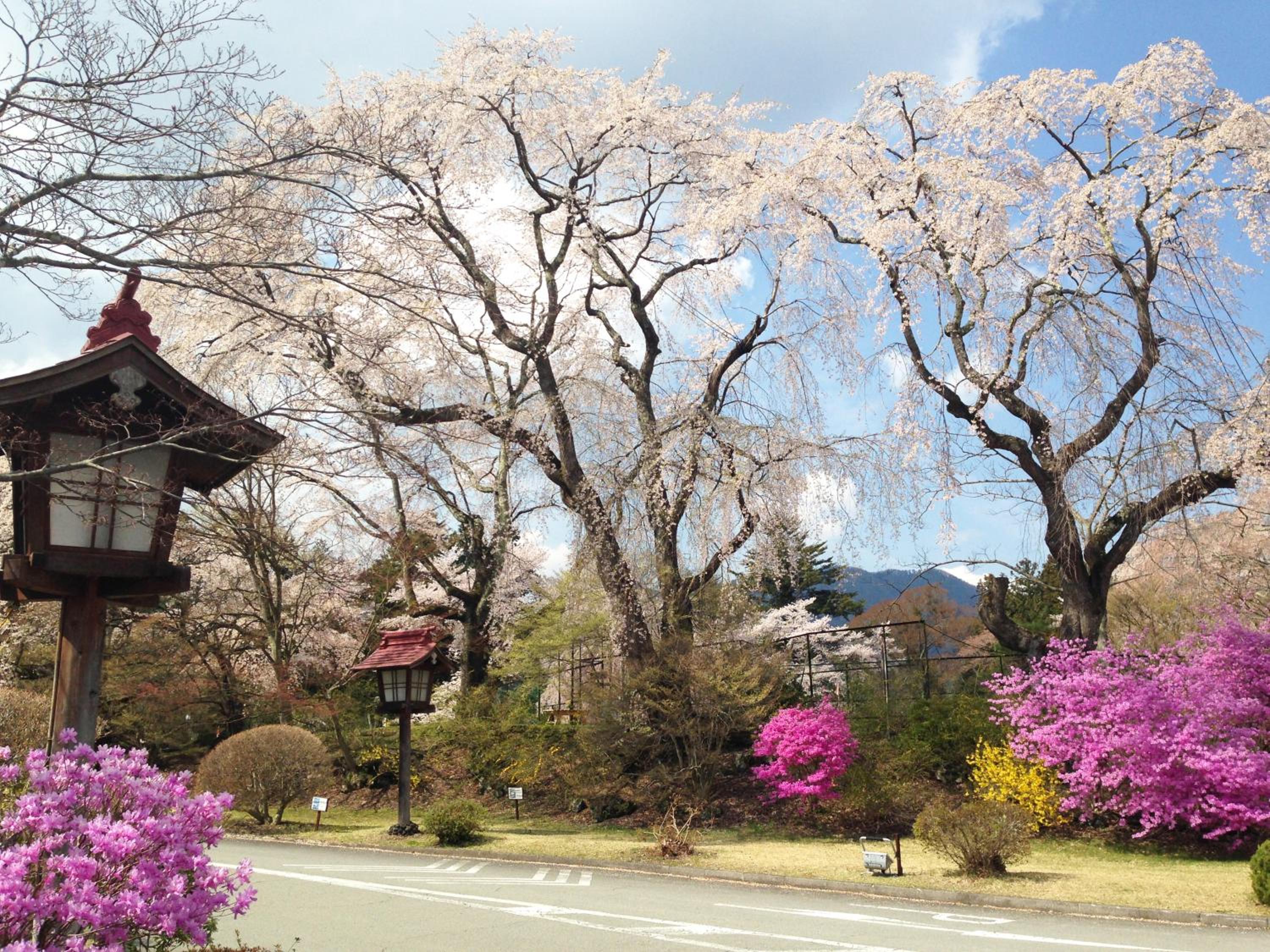 Fuji View Hotel