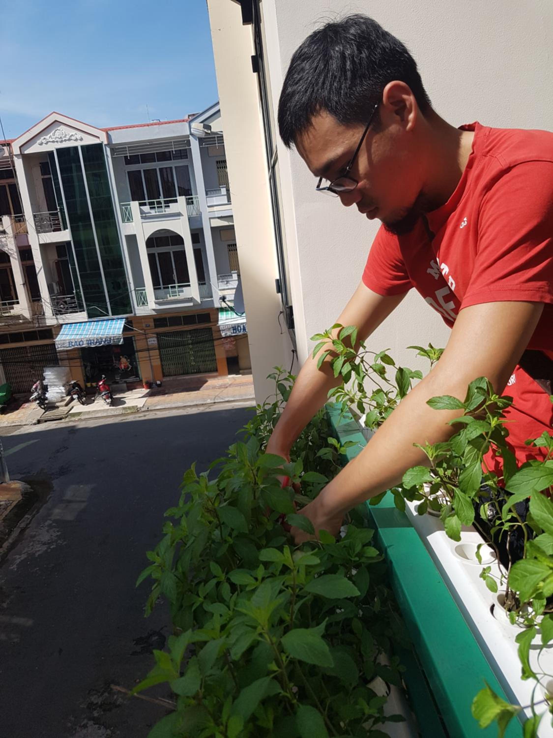 Winter Spring Homestay