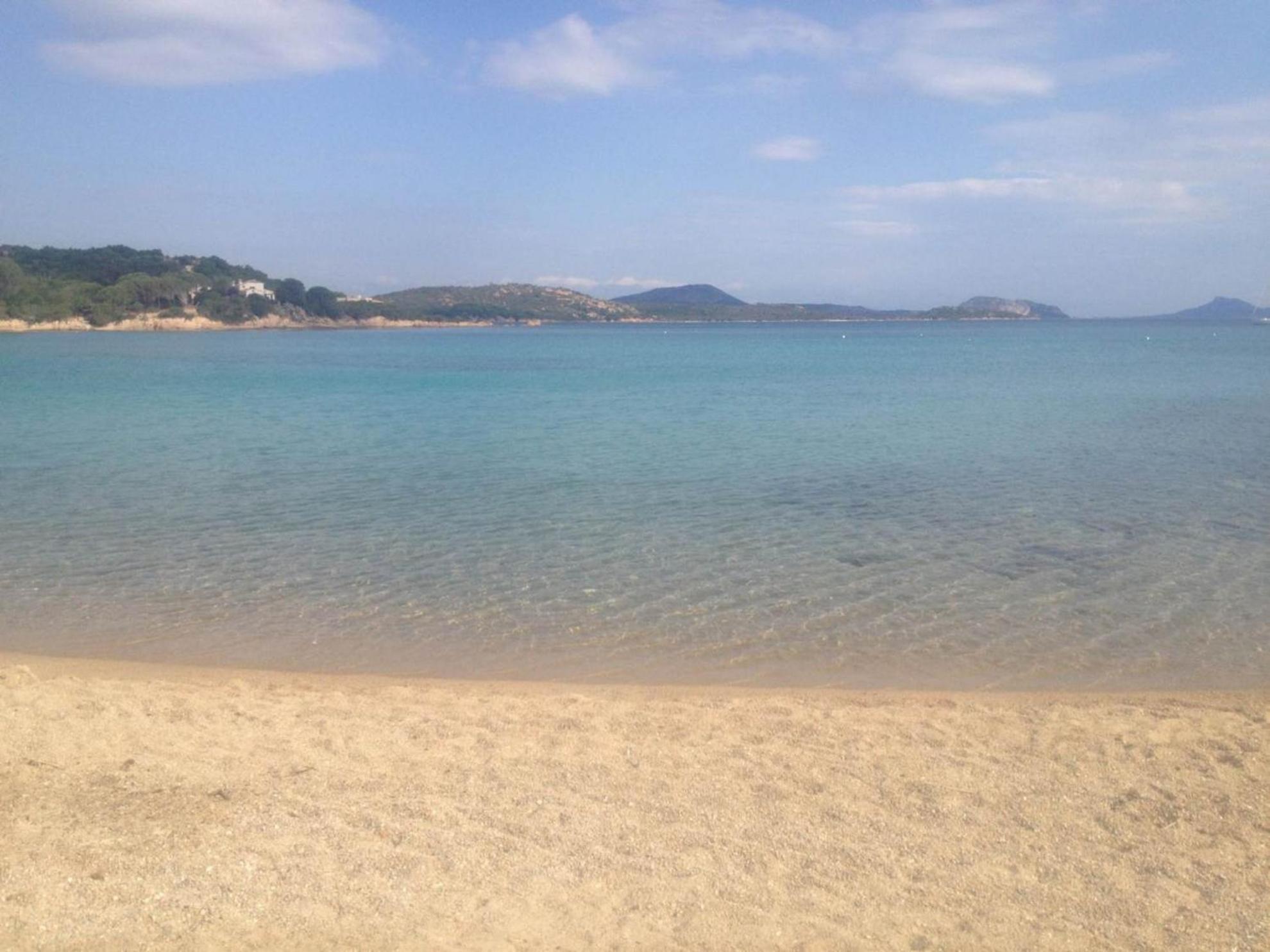 Il Gelsomino photo 2