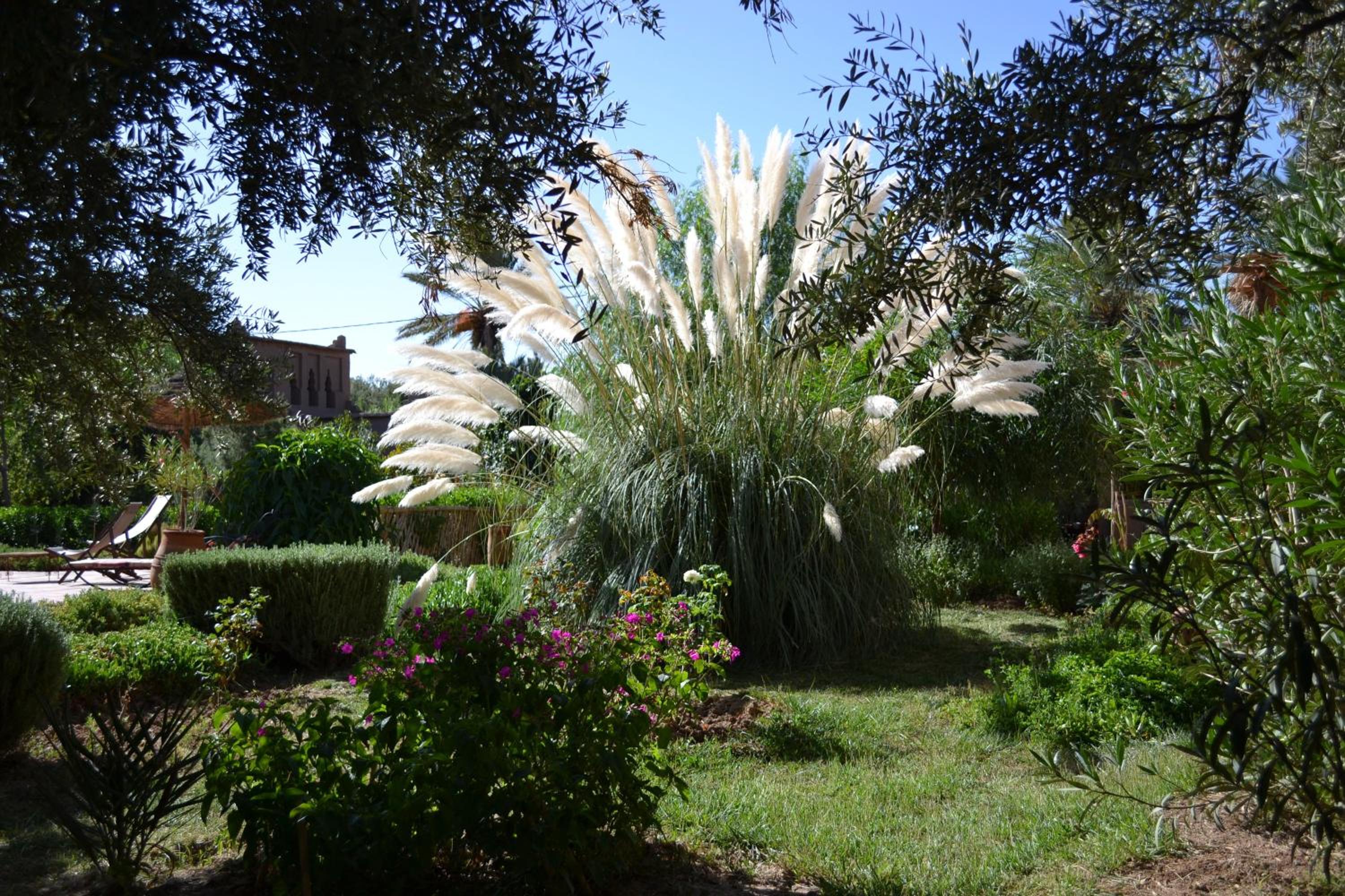 Dar Lorkam