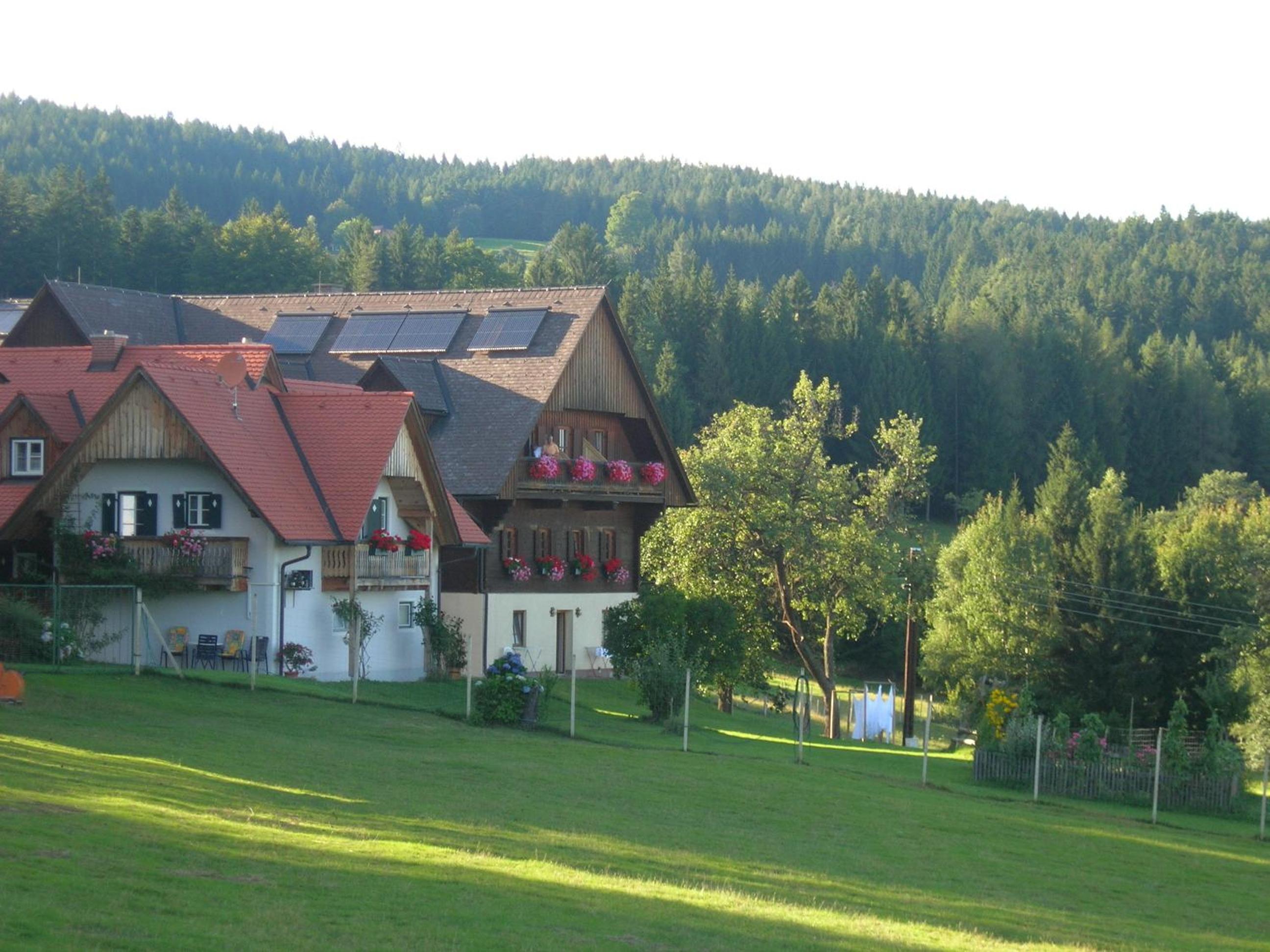 Photo 27
