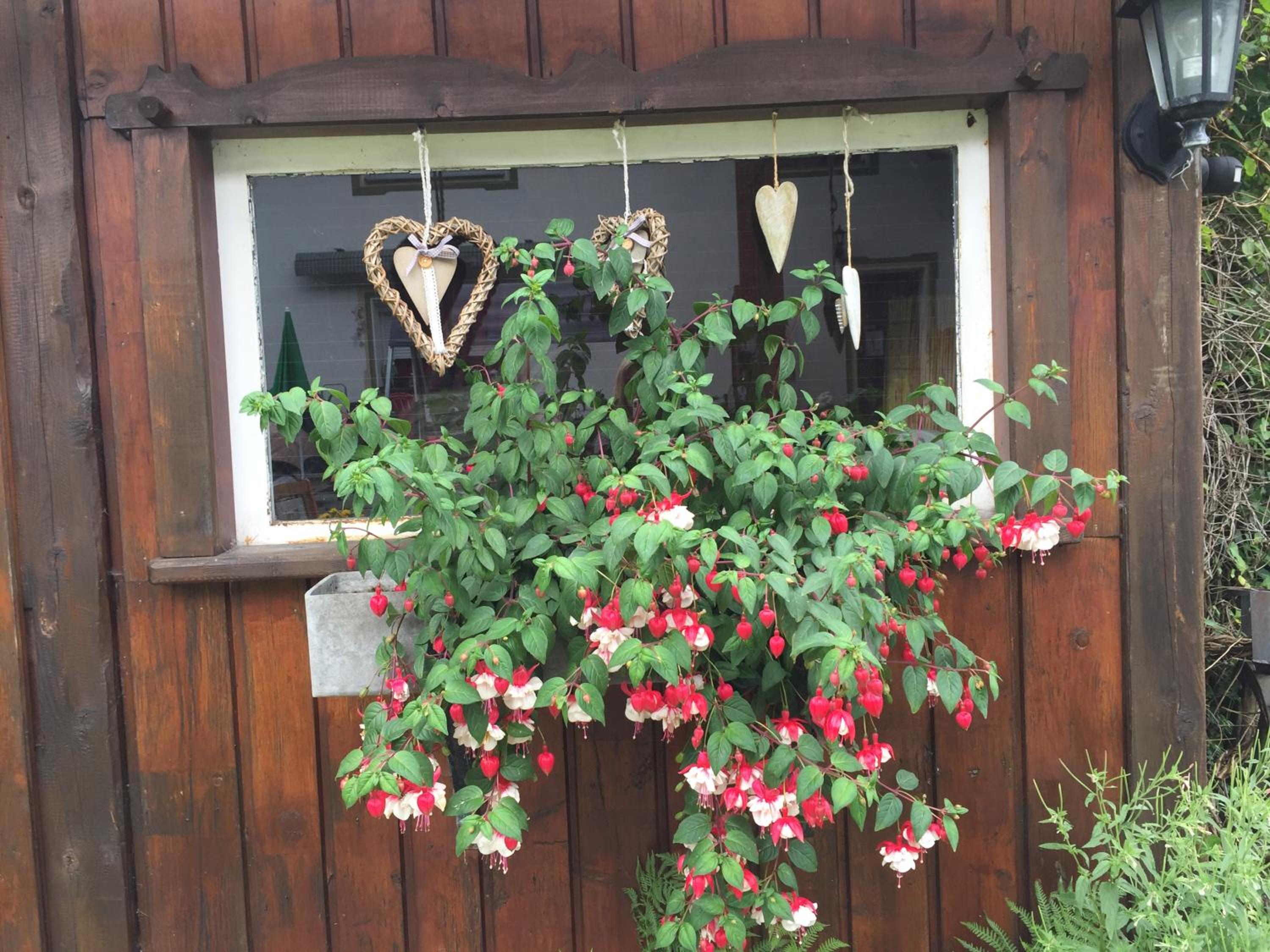 Wiestalerhof