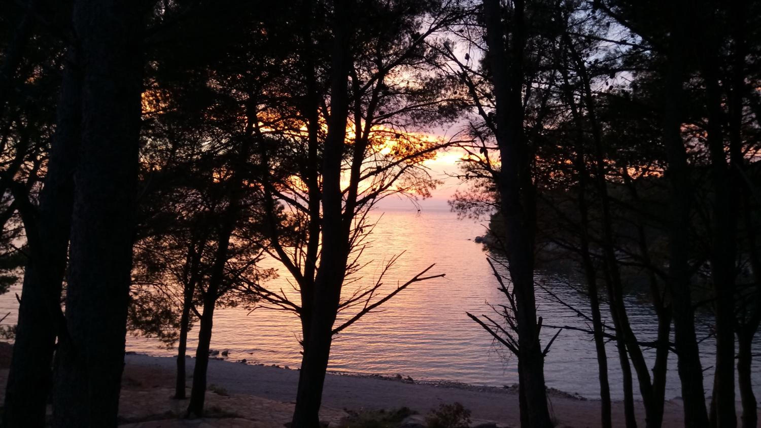 Mobile Home Palma view 5