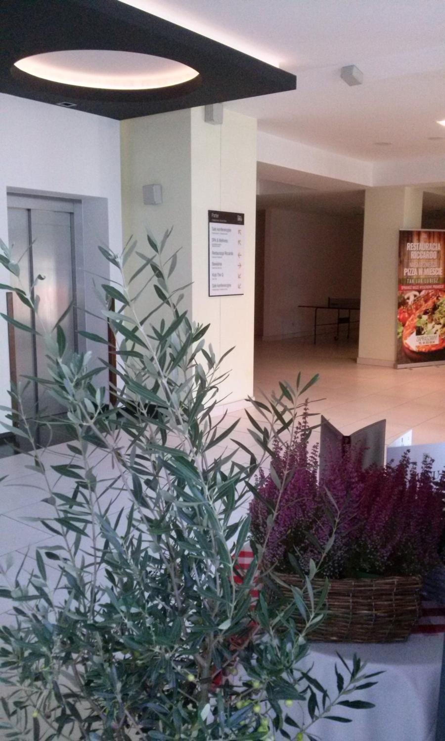Piano Diva I LUX RELAX Apartamenty Kołobrzeg