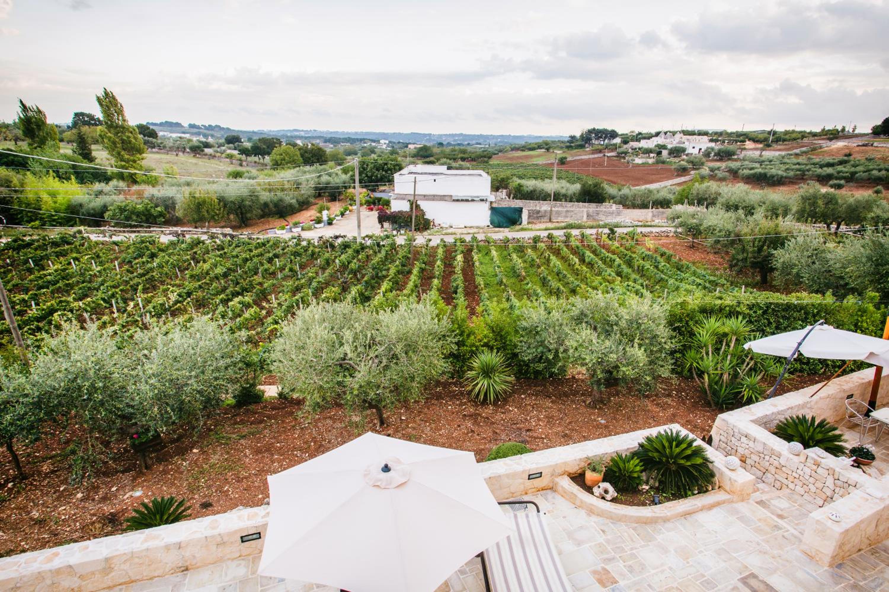 Trulli Magravì - Apparthotel — photo 5
