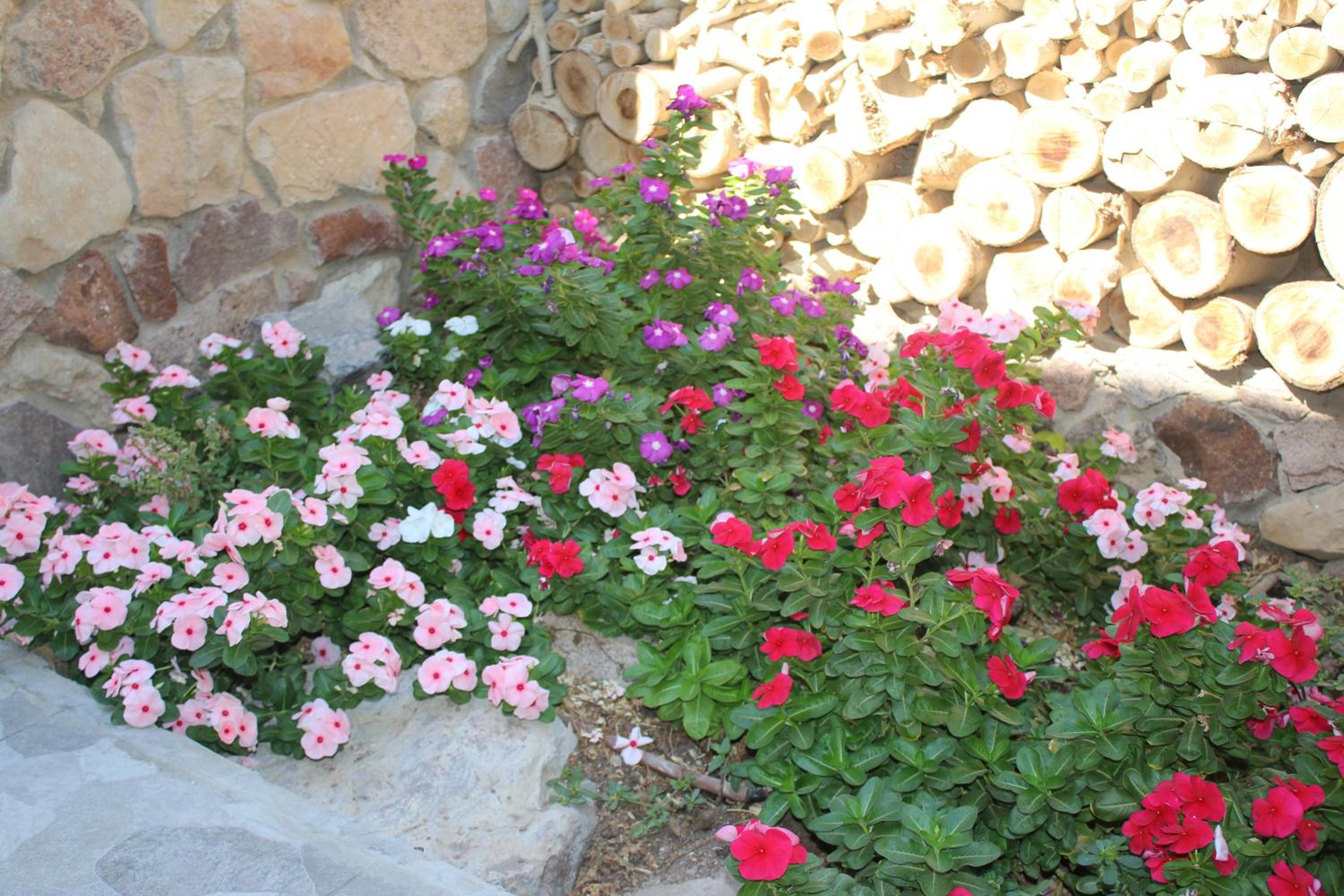 Photo 40