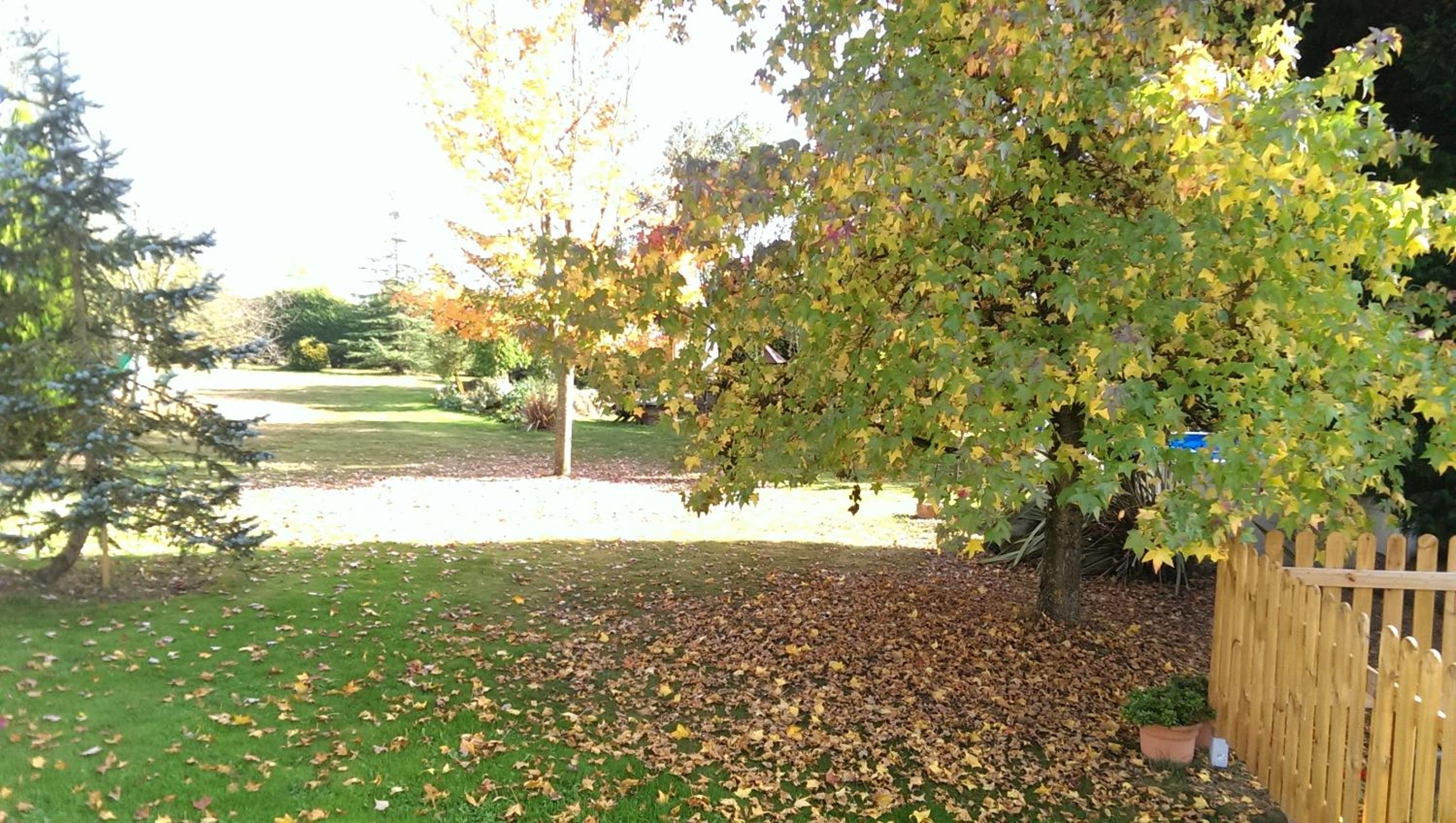 Photo 21