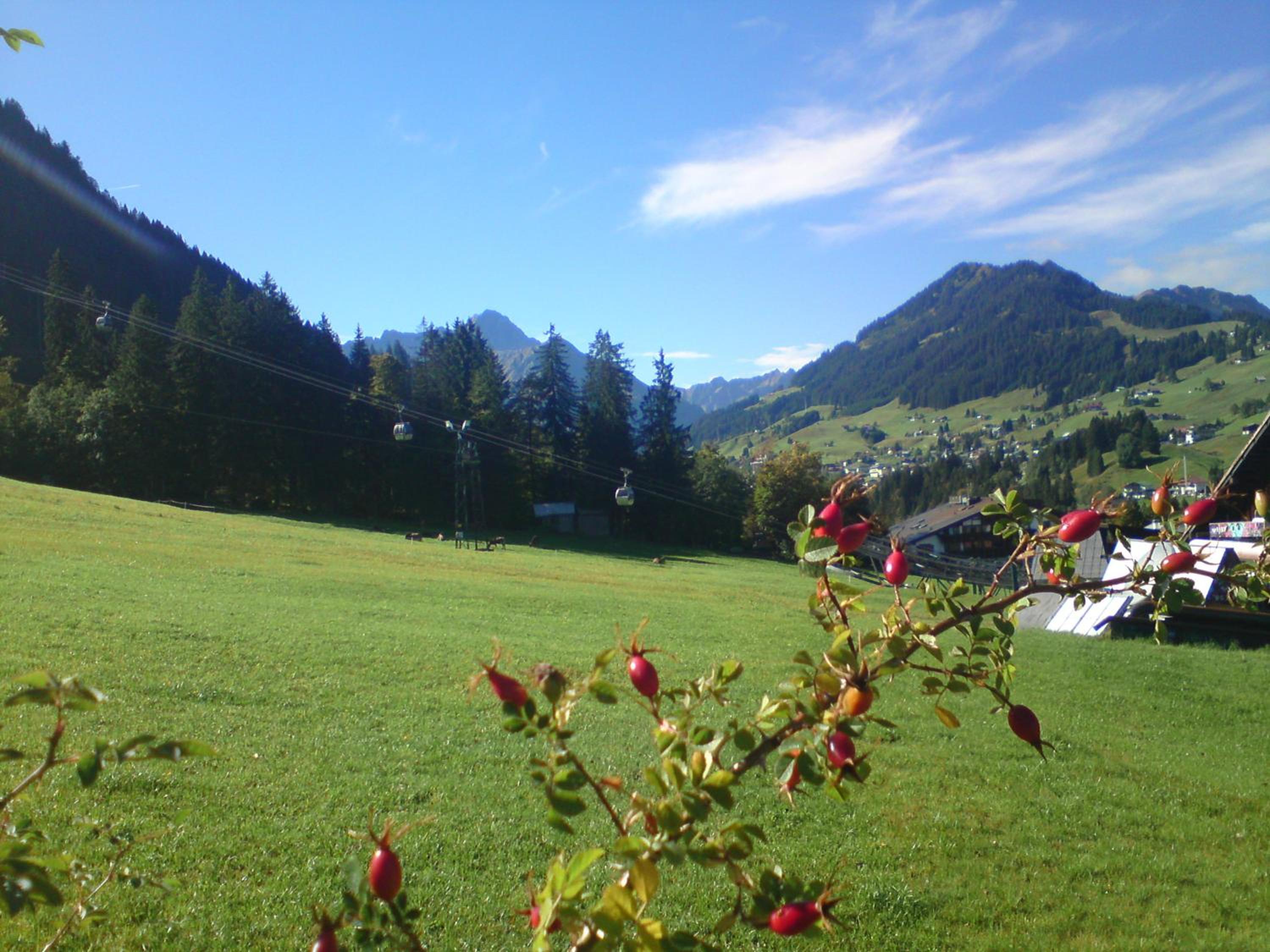 Schusterhof