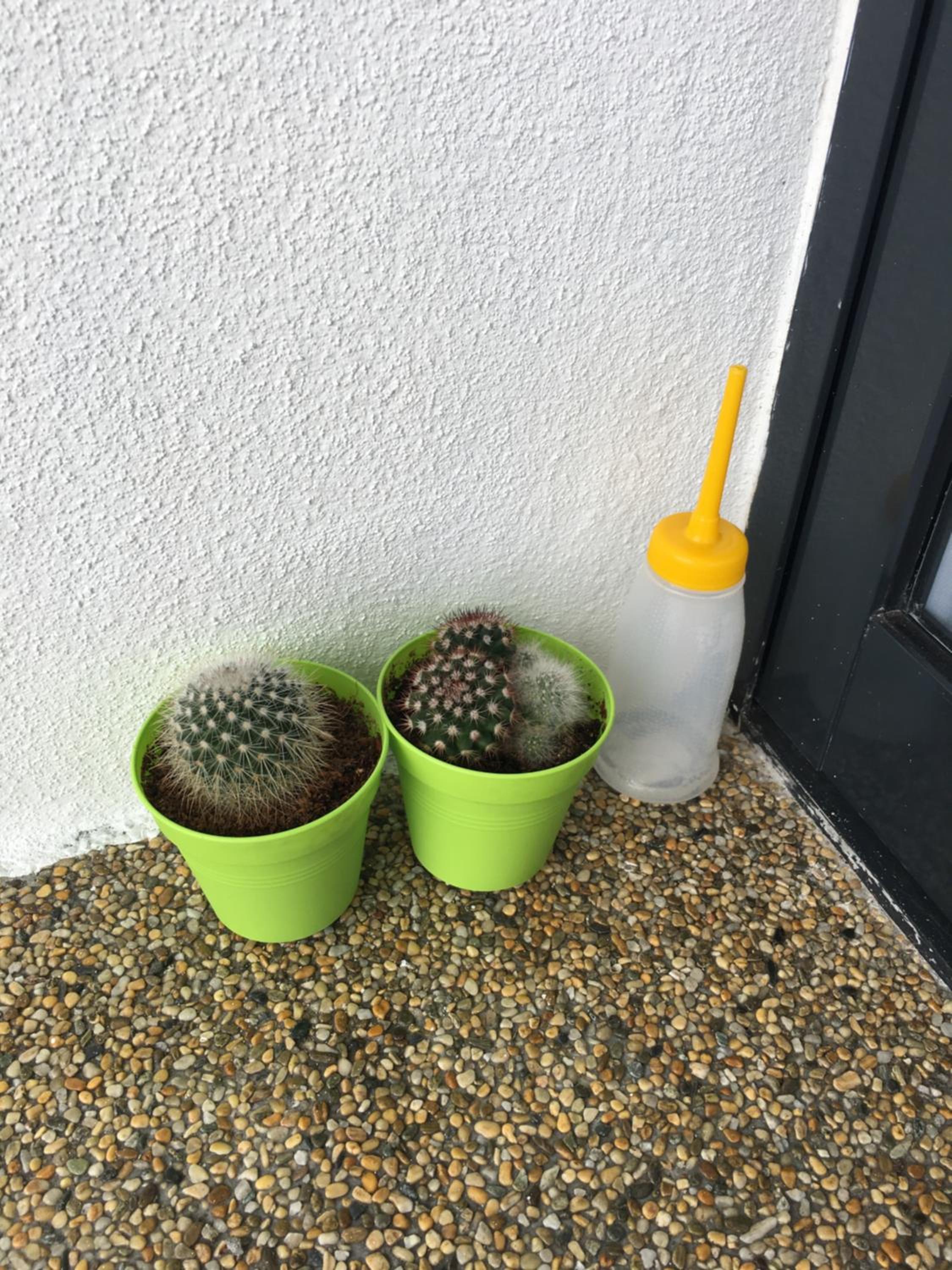 Photo 32