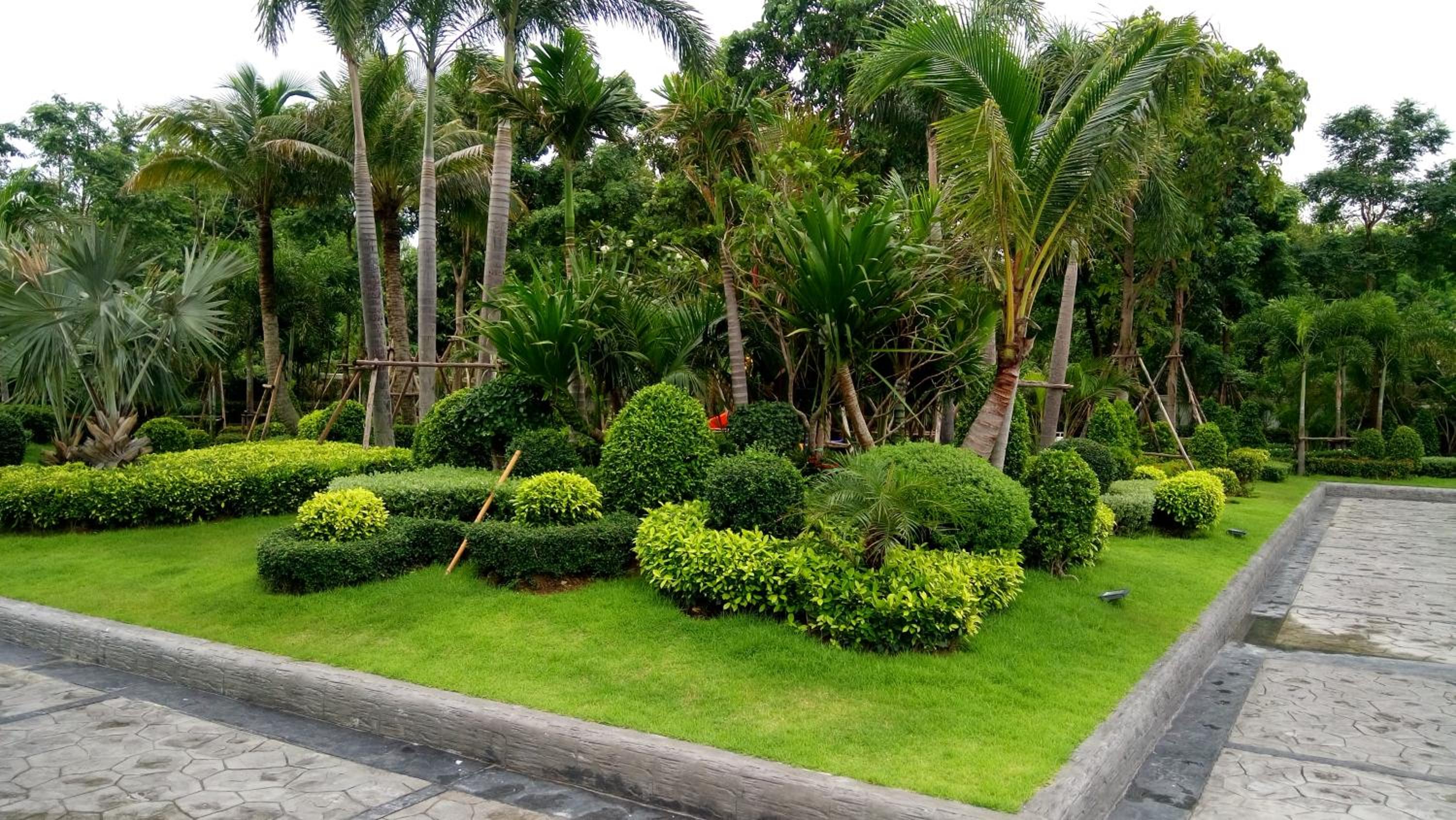 Photo 23