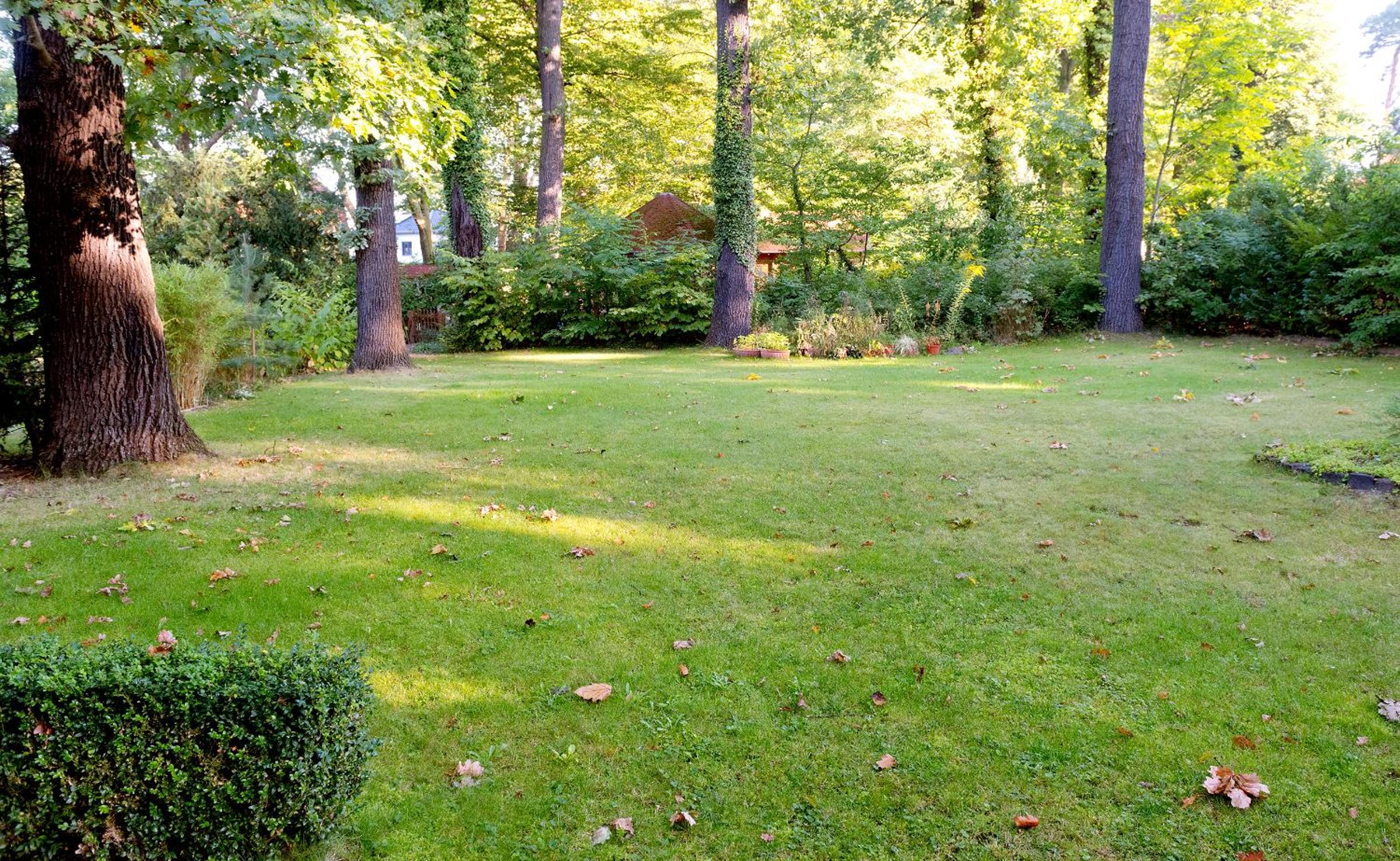 Hotel am Katharinenholz