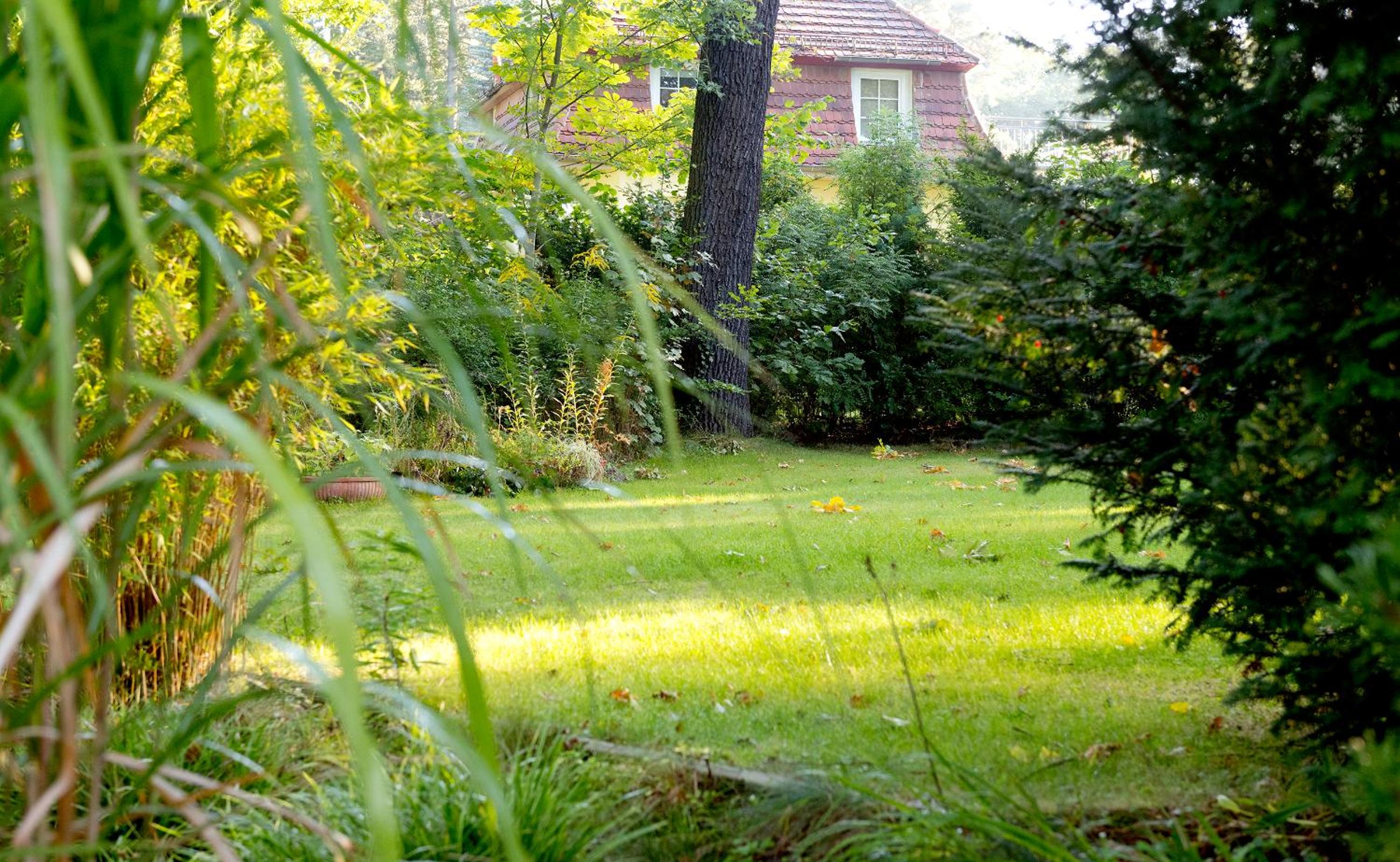 Hotel am Katharinenholz