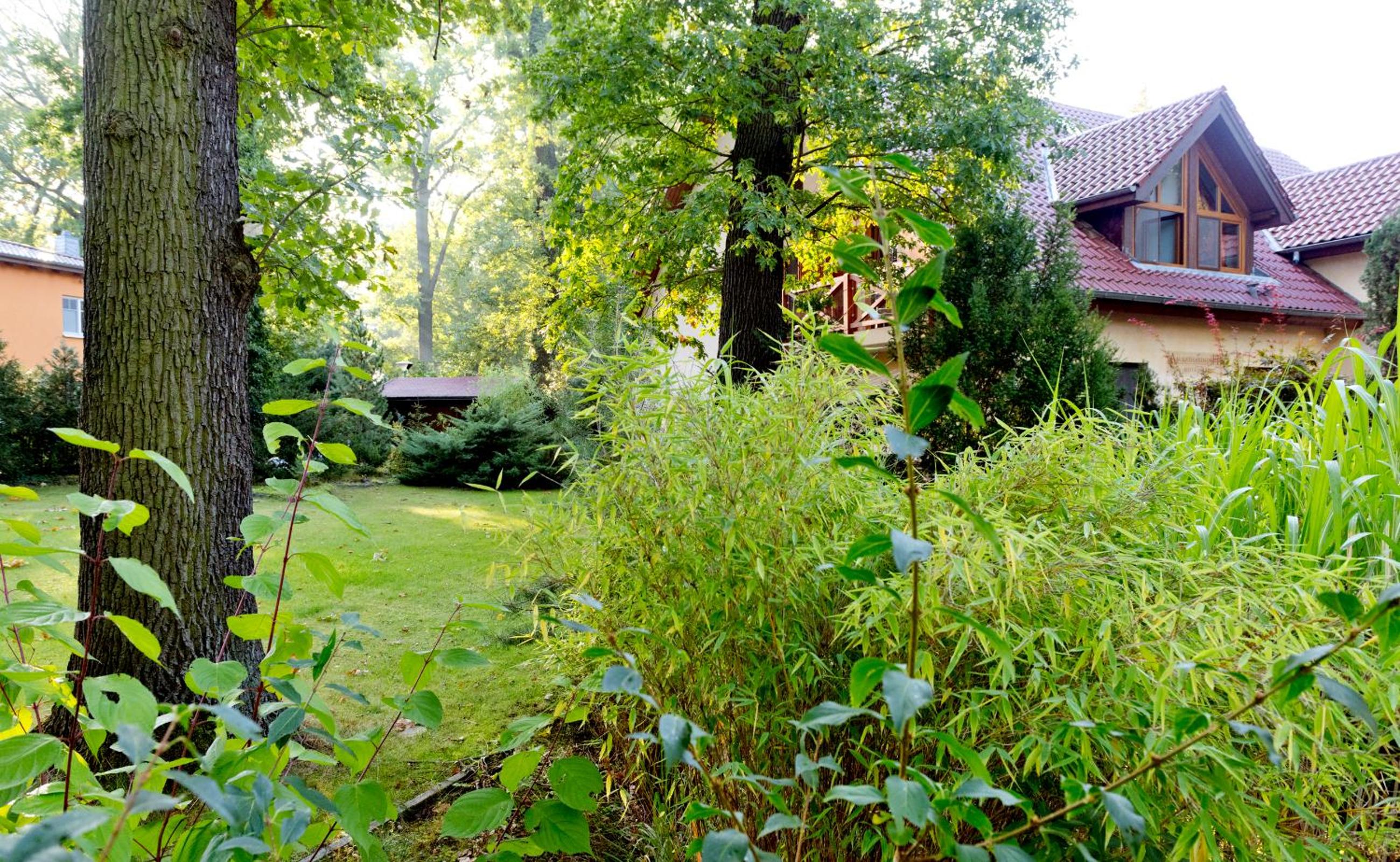 Hotel am Katharinenholz