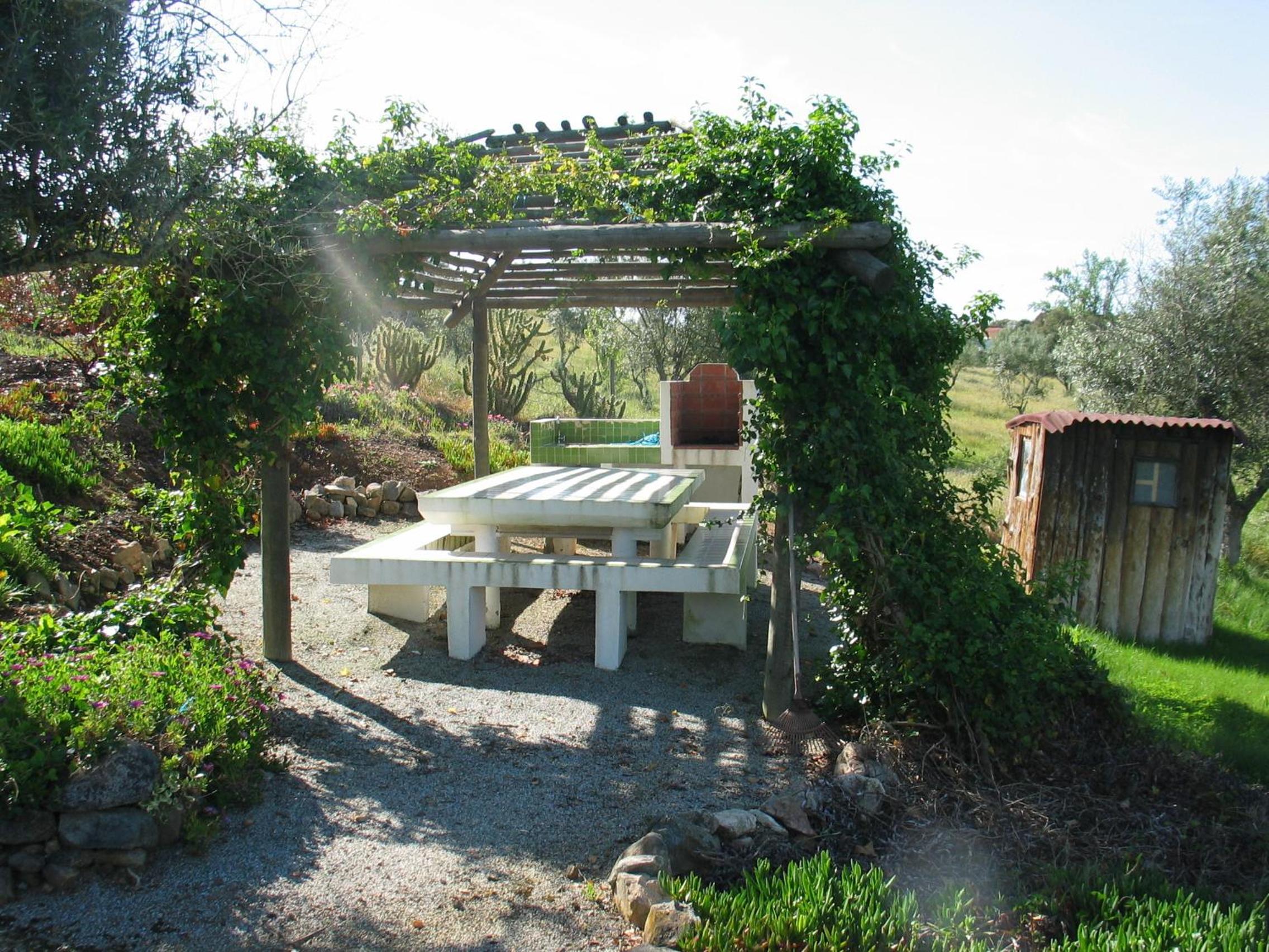 Photo 26
