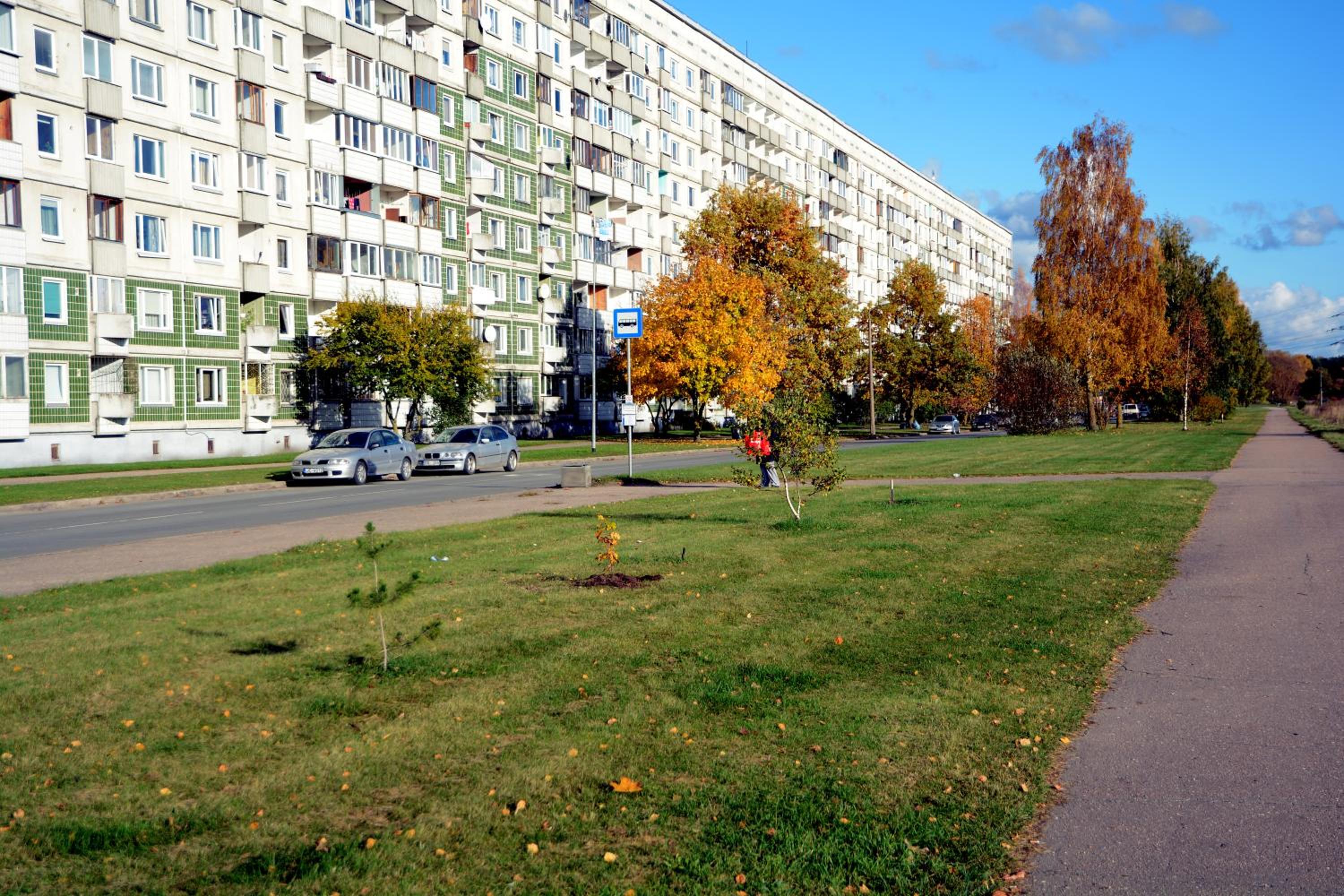 Photo 19