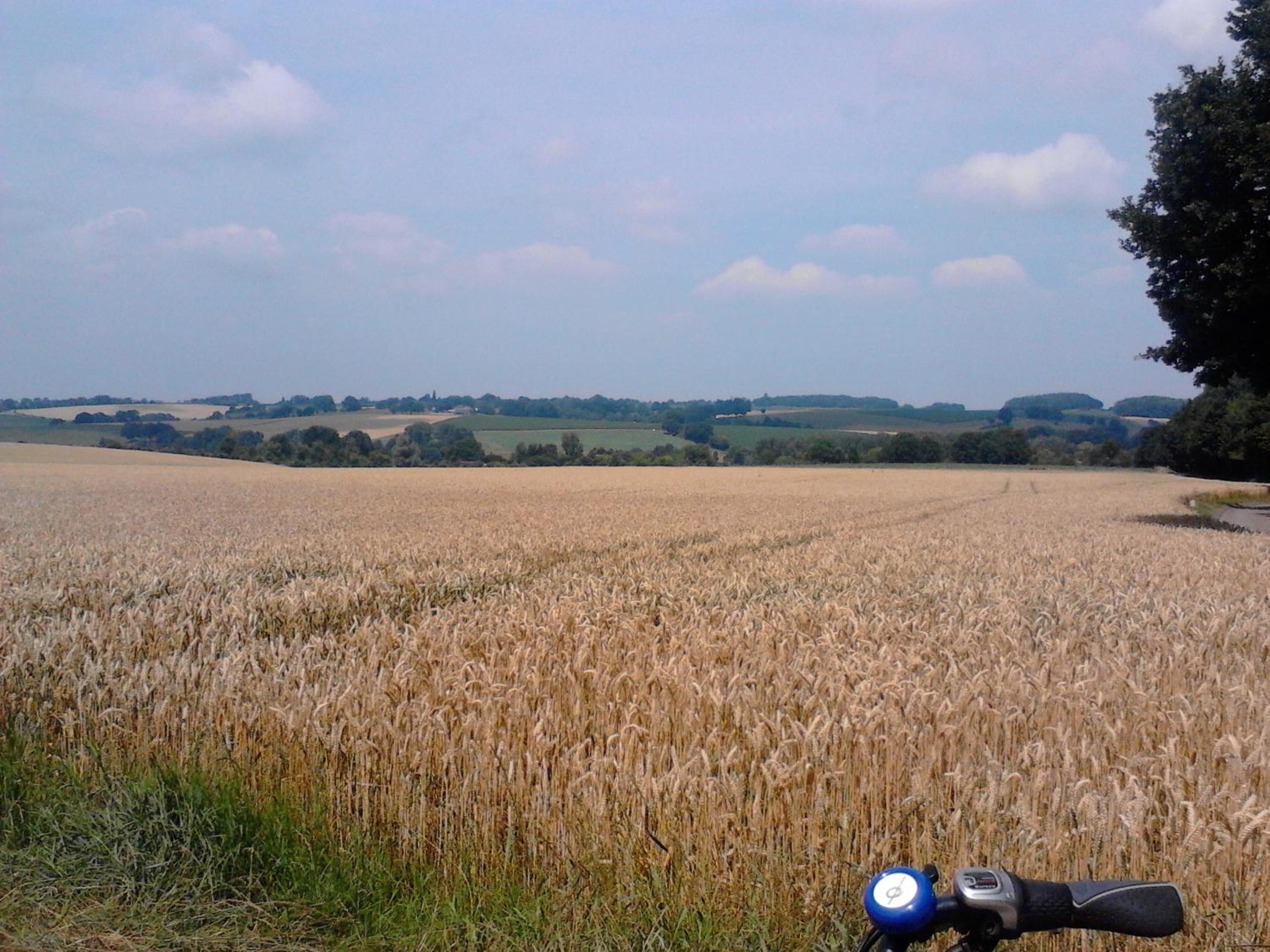 Photo 22