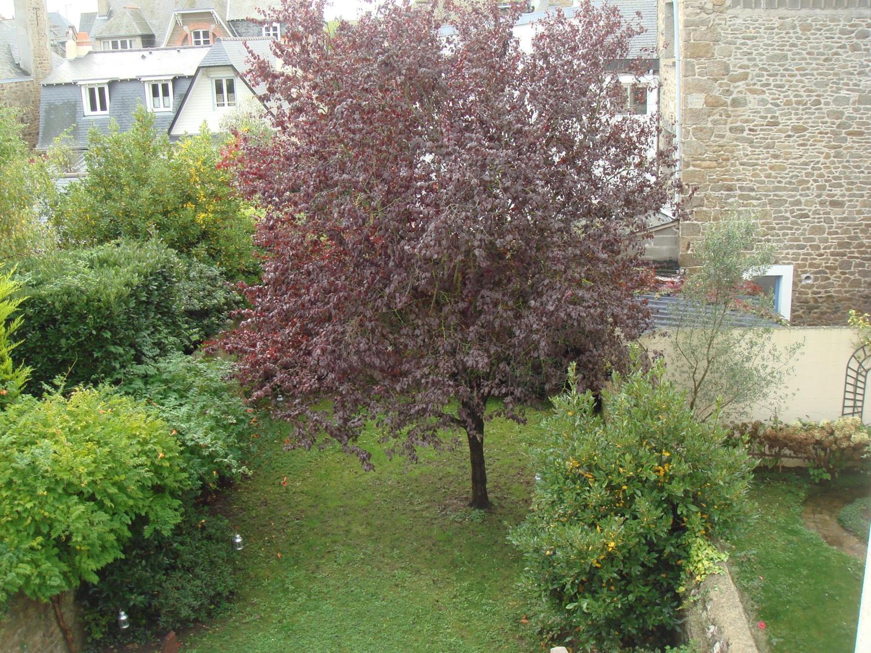 Photo 63