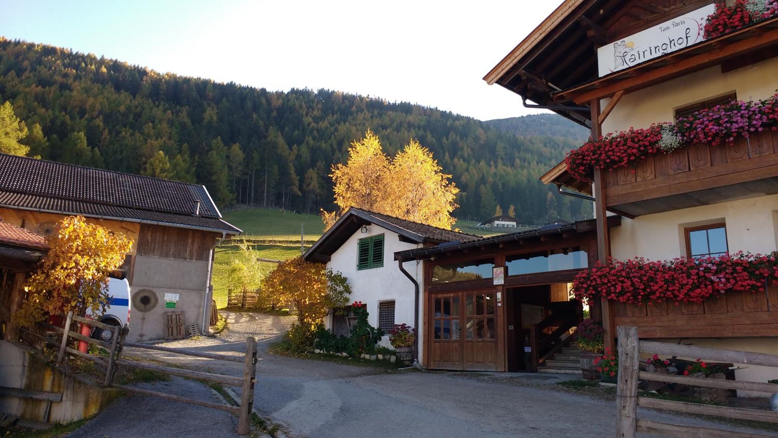 Photo 12