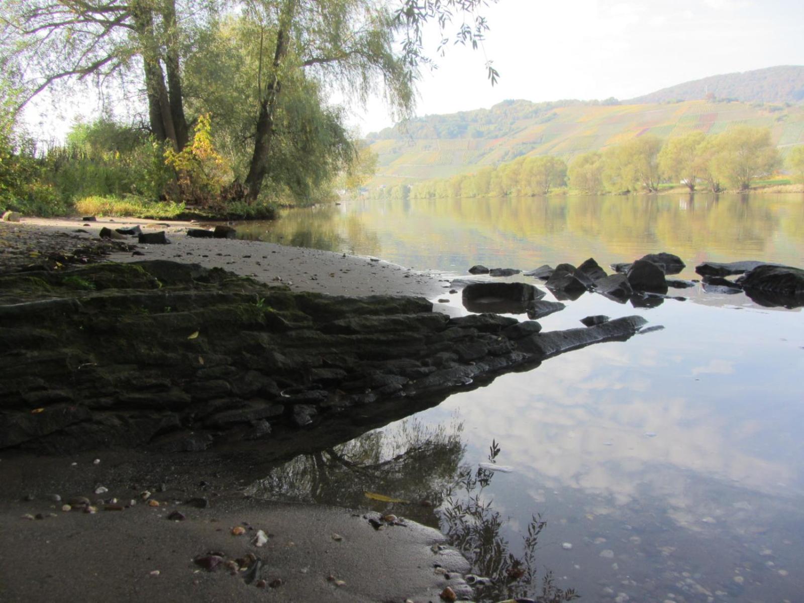 Mosel-Auszeit